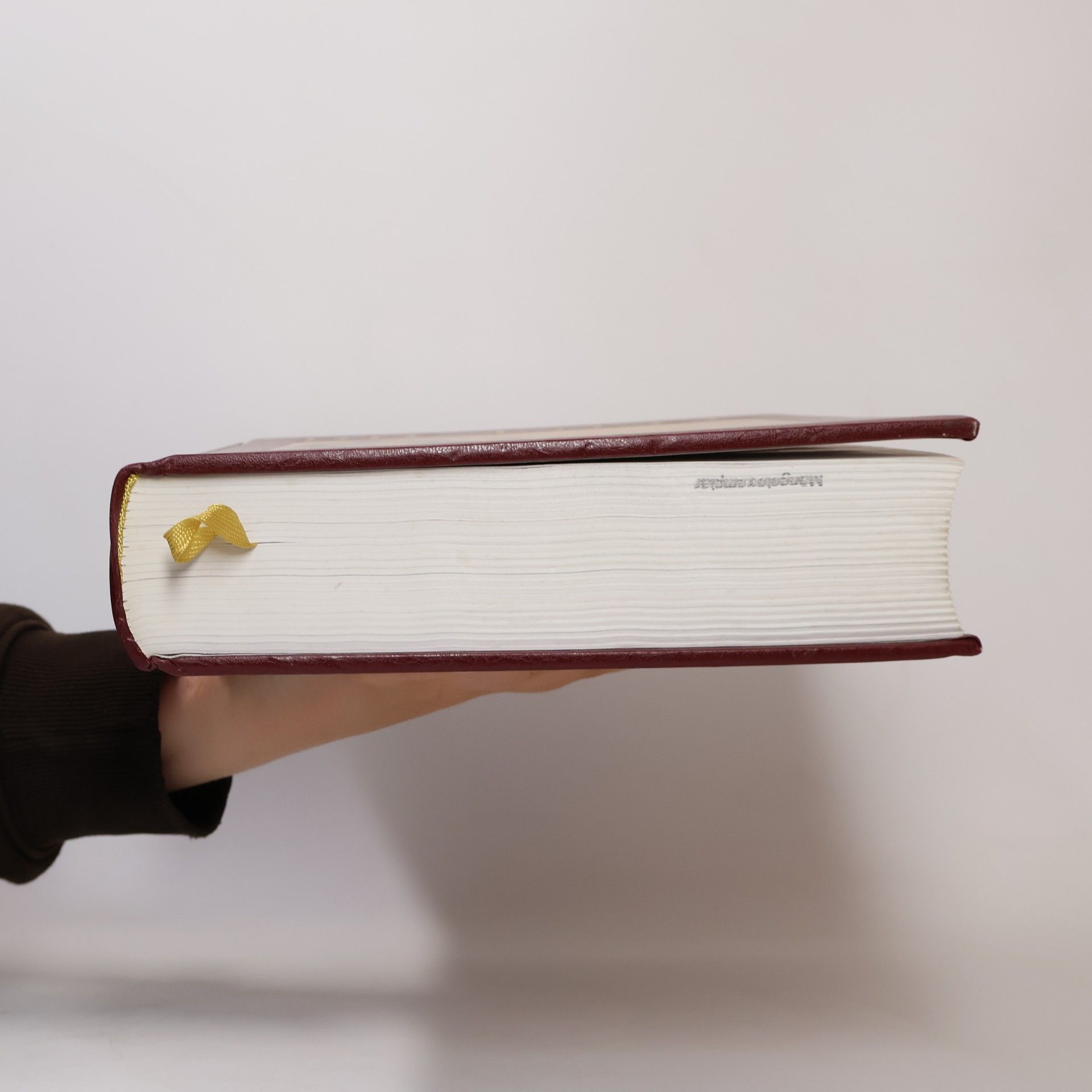 Florian von Heintze Die Bibel