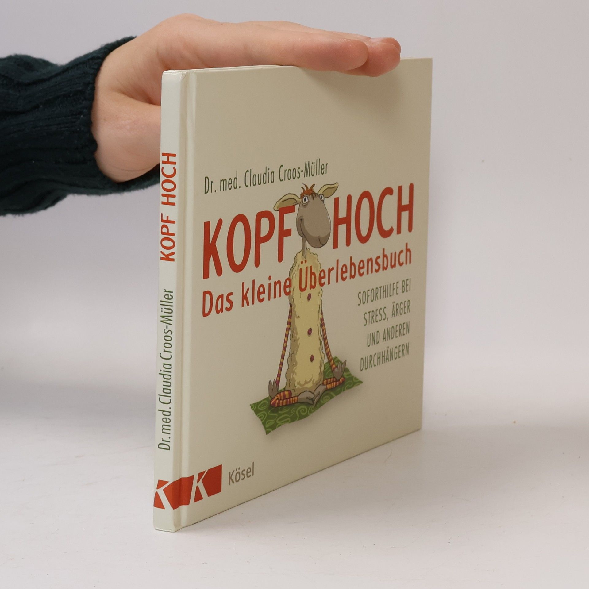 Claudia Croos-Müller Kopf hoch - das kleine Überlebensbuch