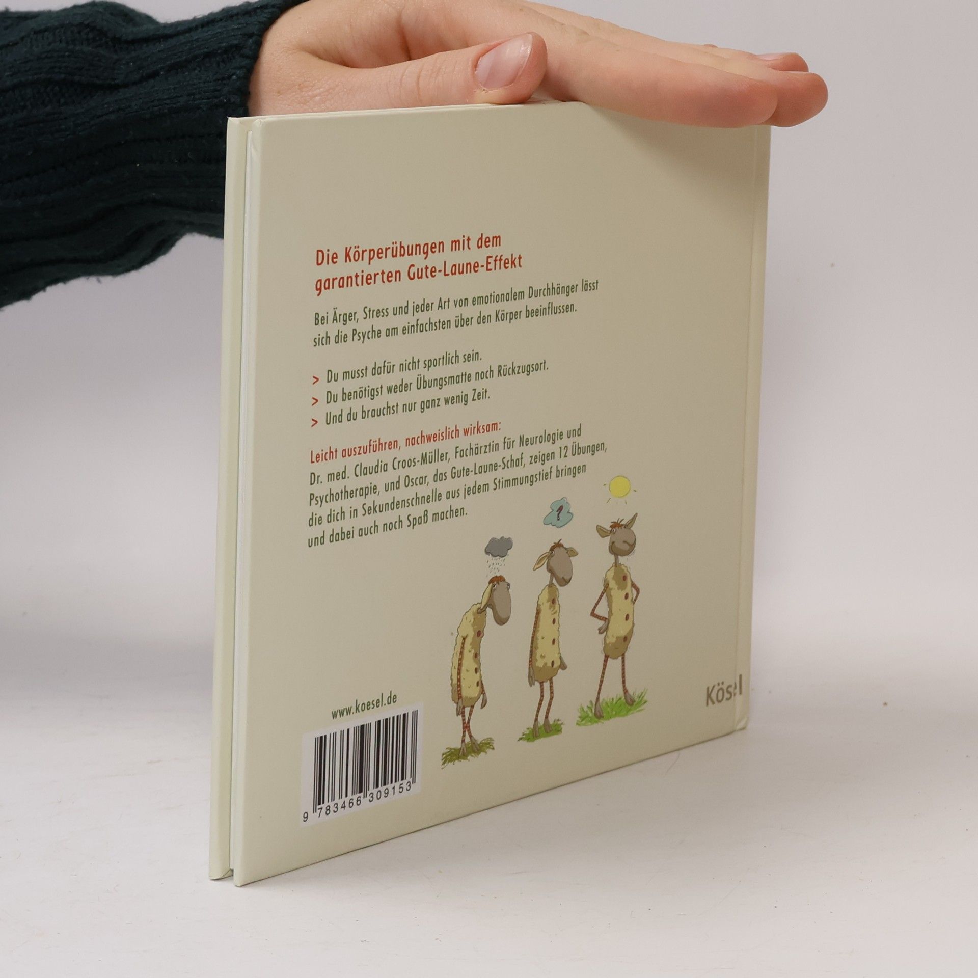 Claudia Croos-Müller Kopf hoch - das kleine Überlebensbuch