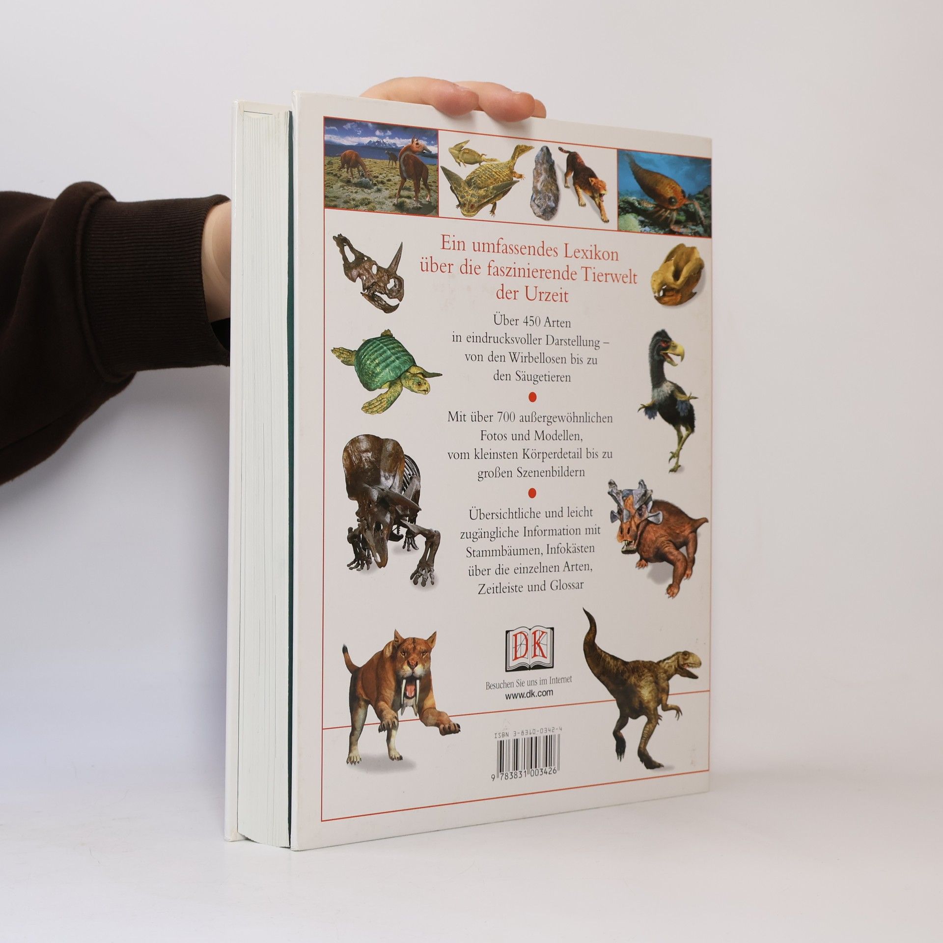 Matthias von Lexer Lexikon der Dinosaurier und anderer Tiere der Urzeit