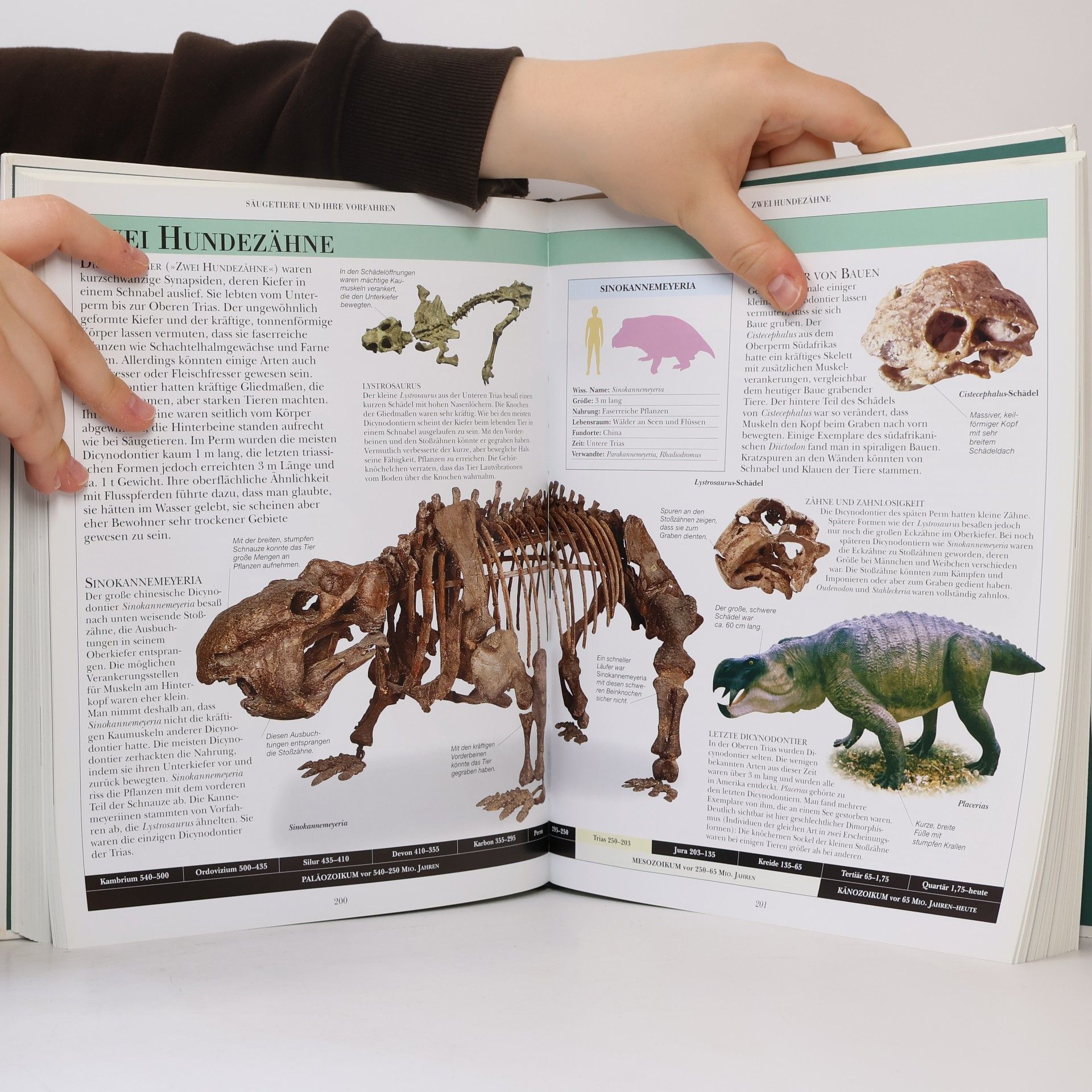 Matthias von Lexer Lexikon der Dinosaurier und anderer Tiere der Urzeit