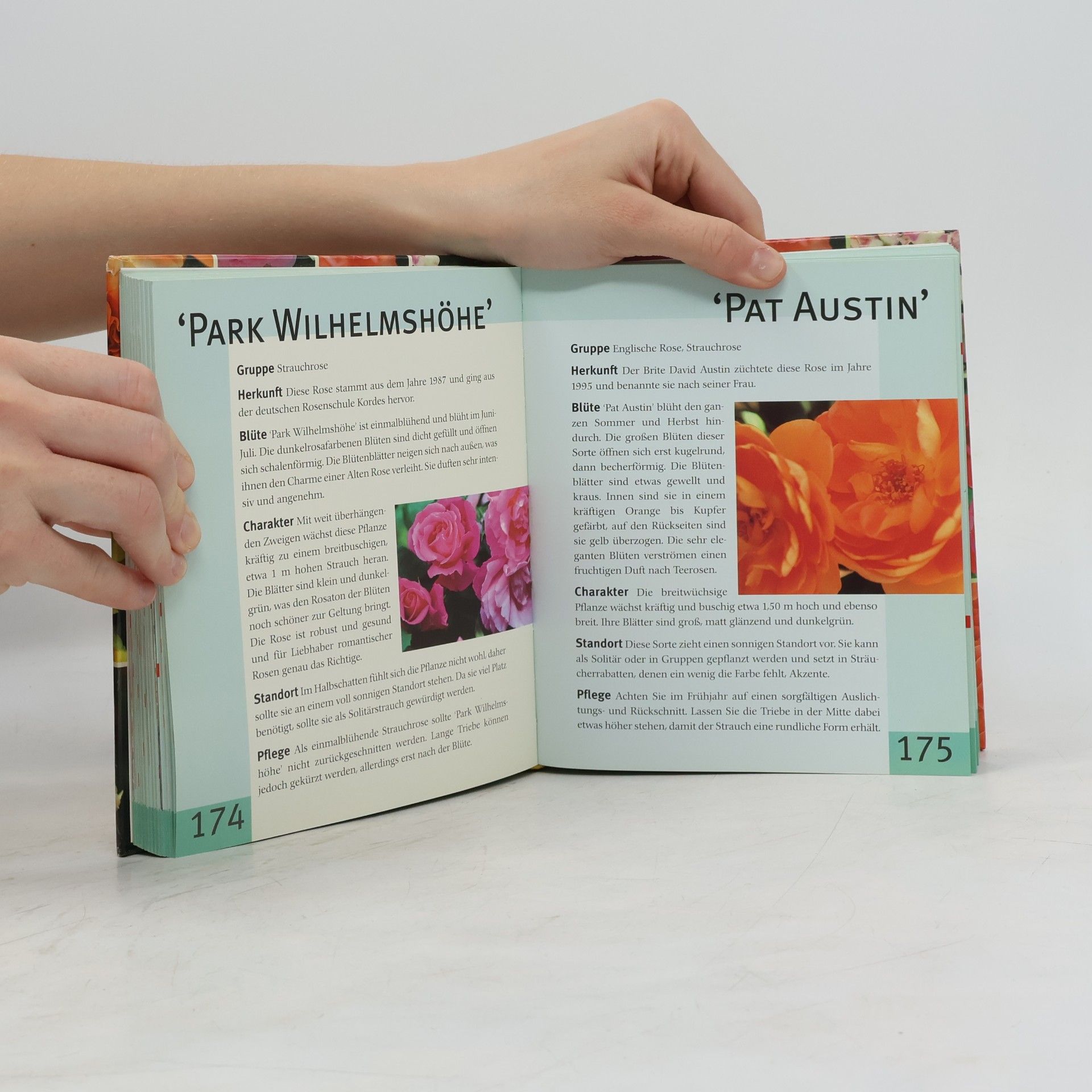 Annette Mader Lexikon der Rosen