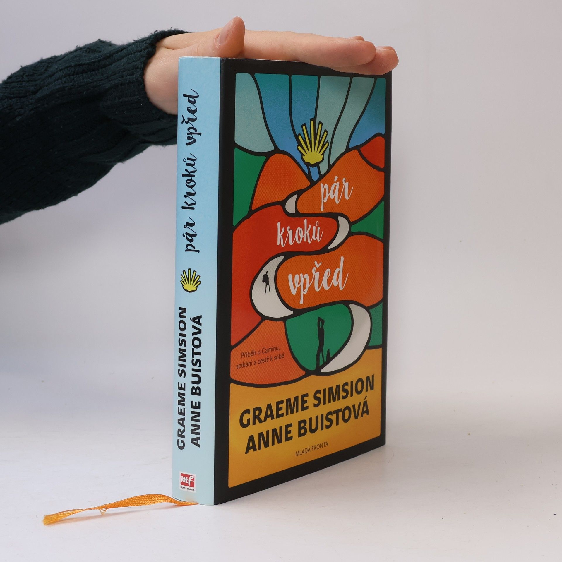 Graeme Simsion Pár kroků vpřed