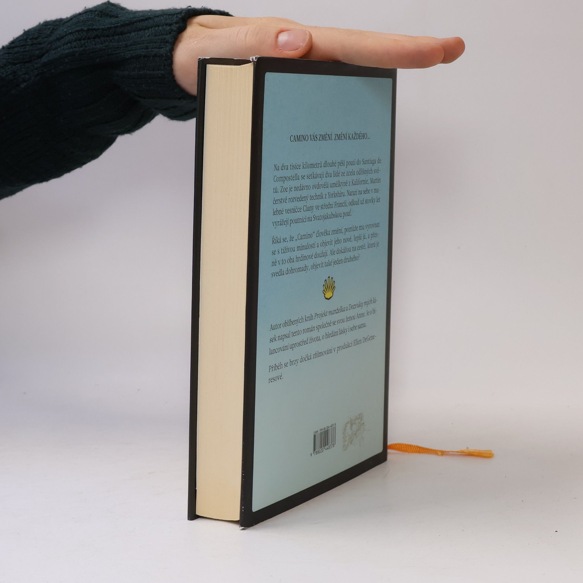 Graeme Simsion Pár kroků vpřed