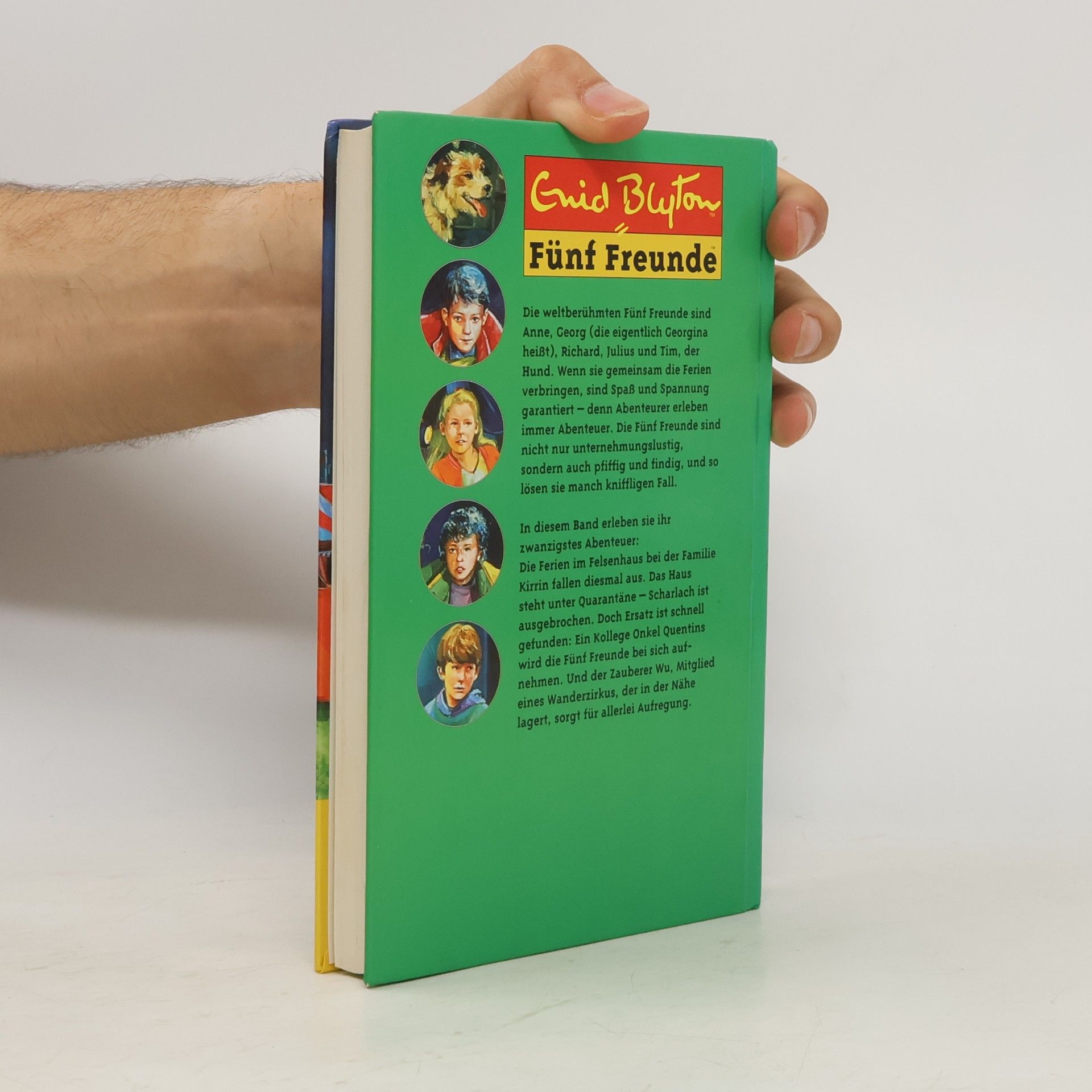 Enid Blyton 5 Freunde und der Zauberer Wu