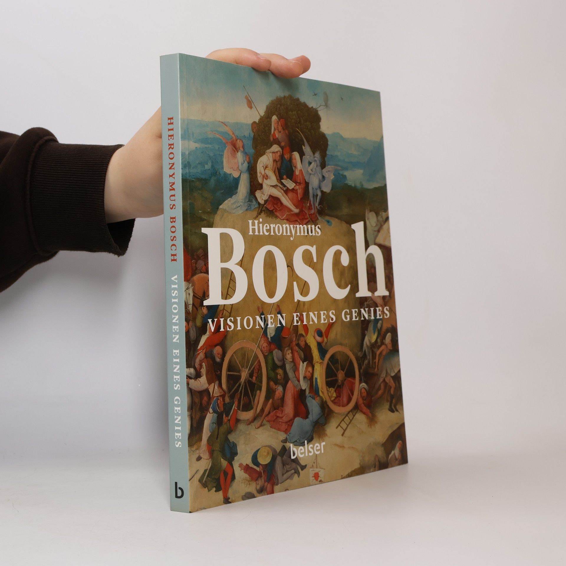Matthijs Ilsink Hieronymus Bosch - Visionen eines Genies