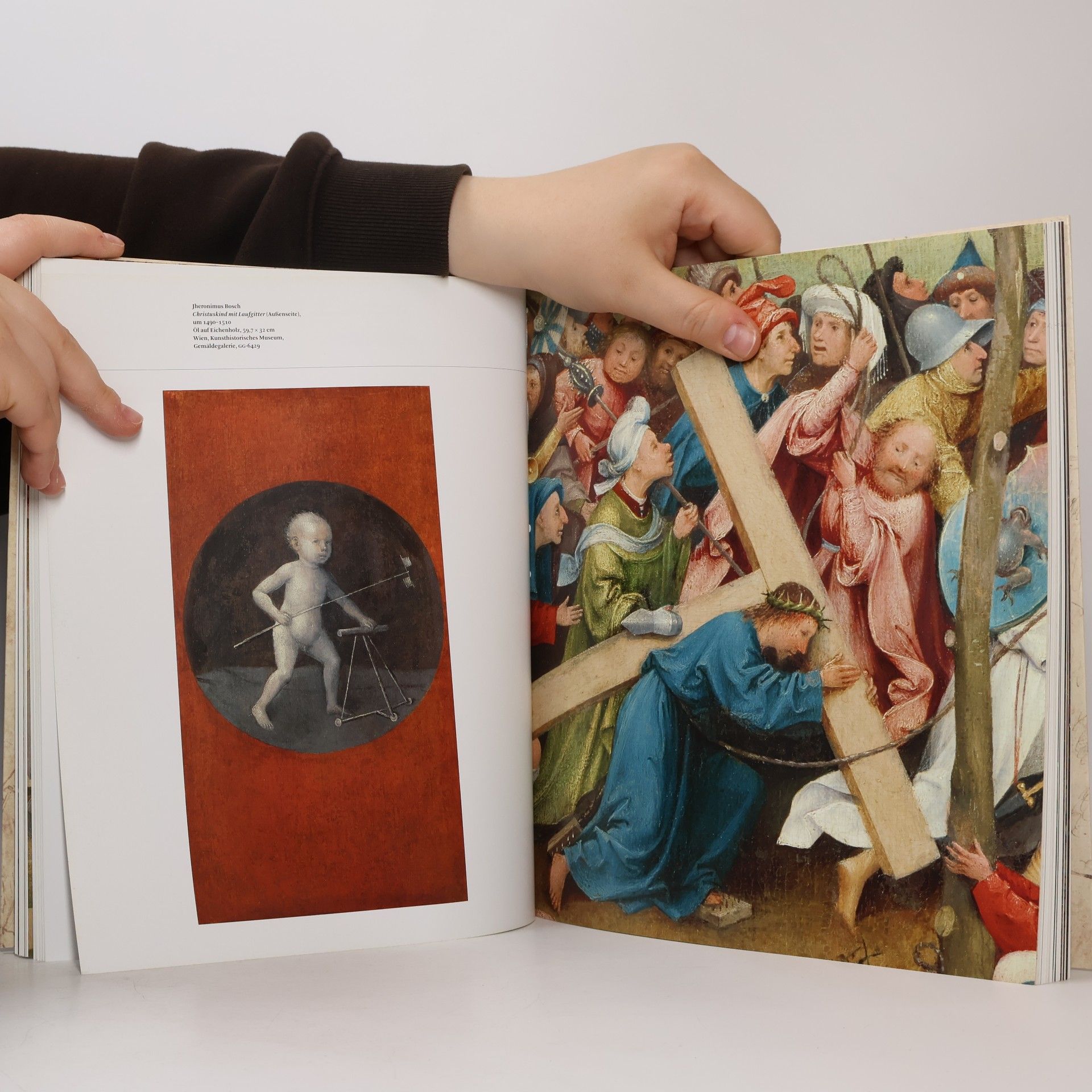 Matthijs Ilsink Hieronymus Bosch - Visionen eines Genies