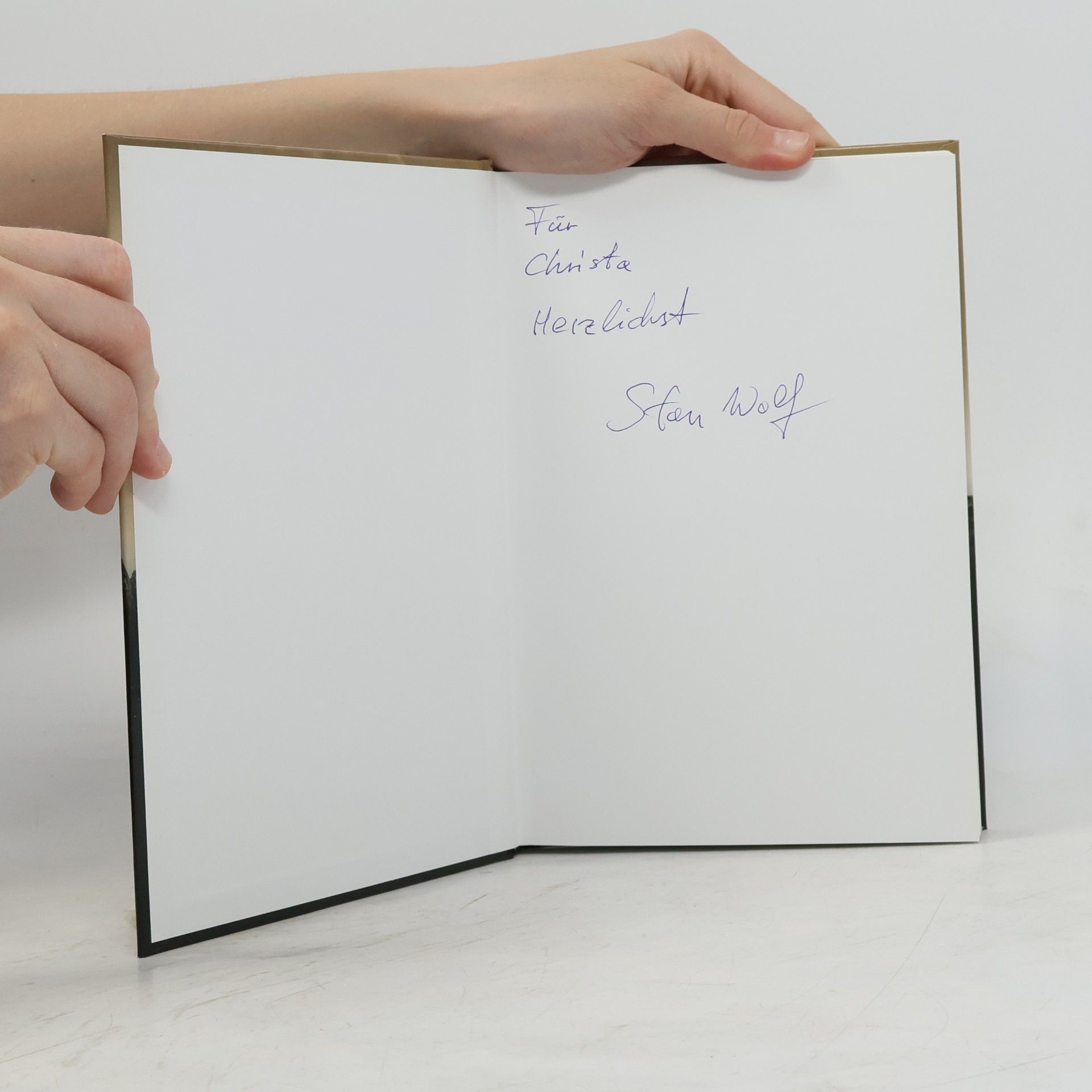 Stan Wolf Steine der Macht - Band 13