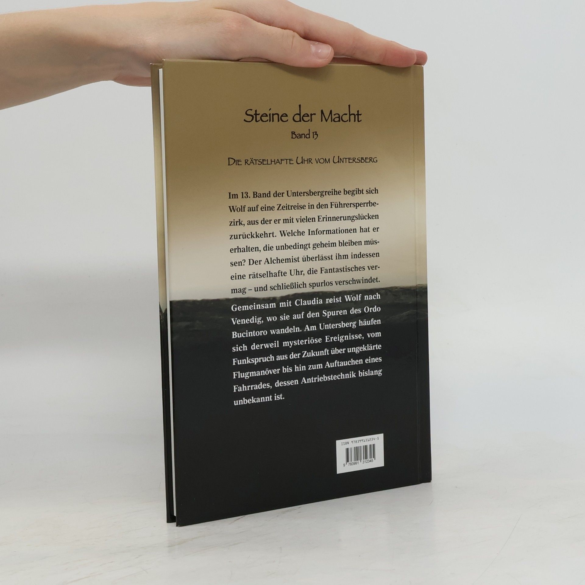Stan Wolf Steine der Macht - Band 13