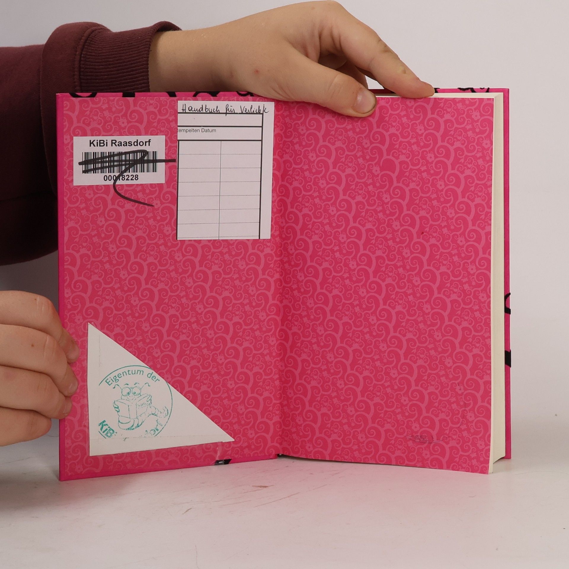 Abigail Grotke Handbuch für Verliebte