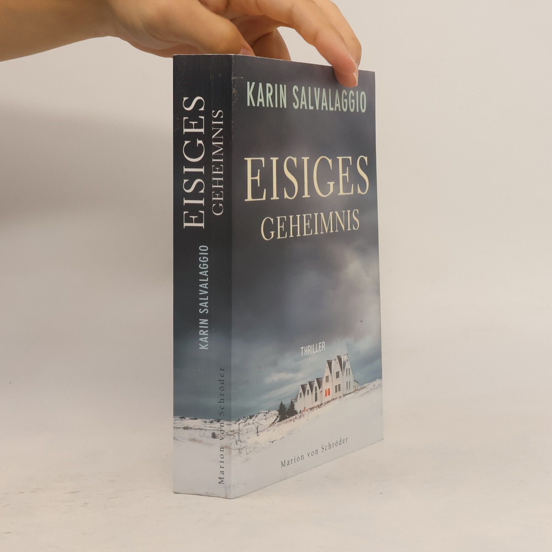 Karin Salvalaggio Eisiges Geheimnis