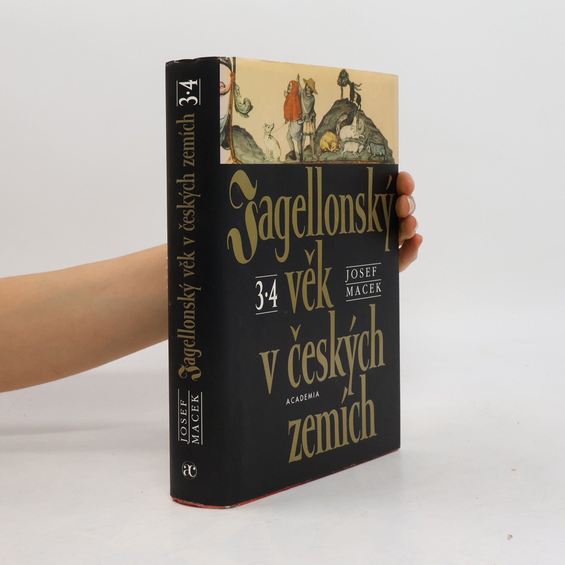 Jagellonský věk v českých zemích