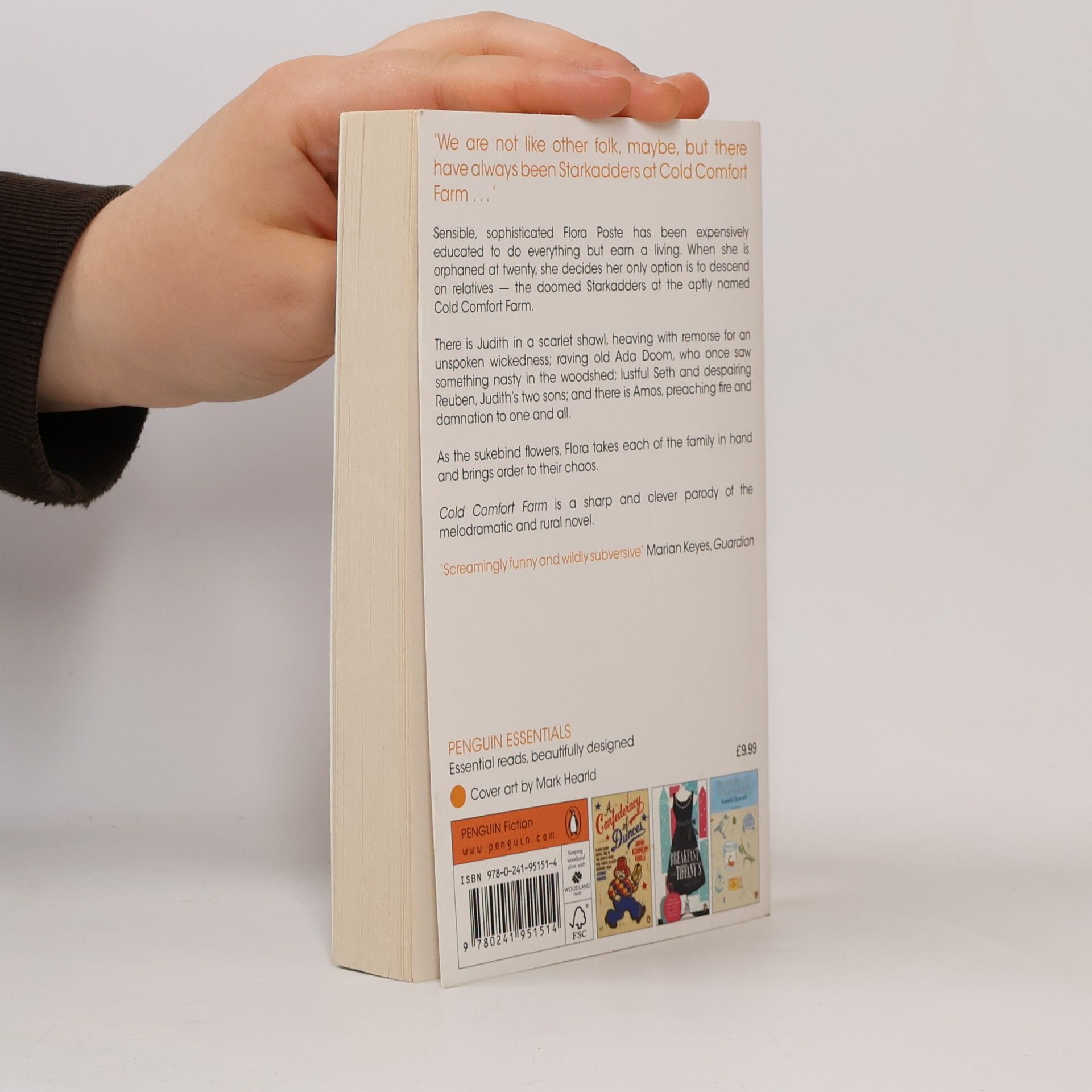 Stella Gibbons Cold Comfort Farm, English edition