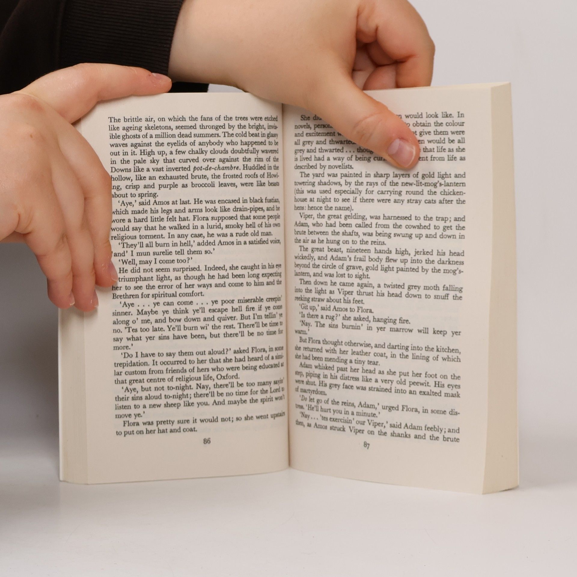Stella Gibbons Cold Comfort Farm, English edition