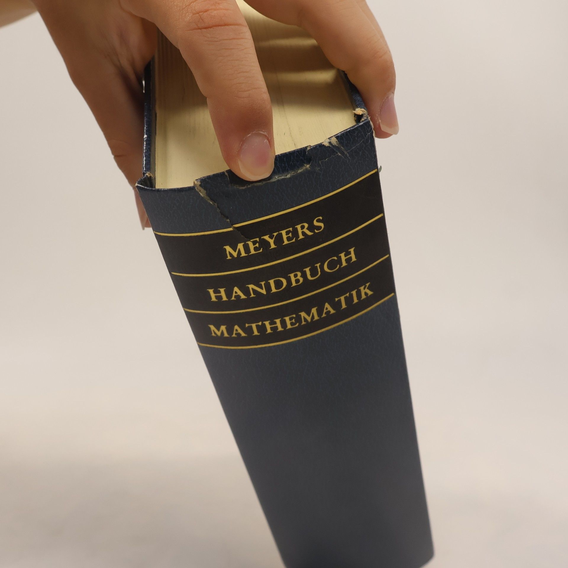 Autores varios Meyers Handbuch über die Mathematik