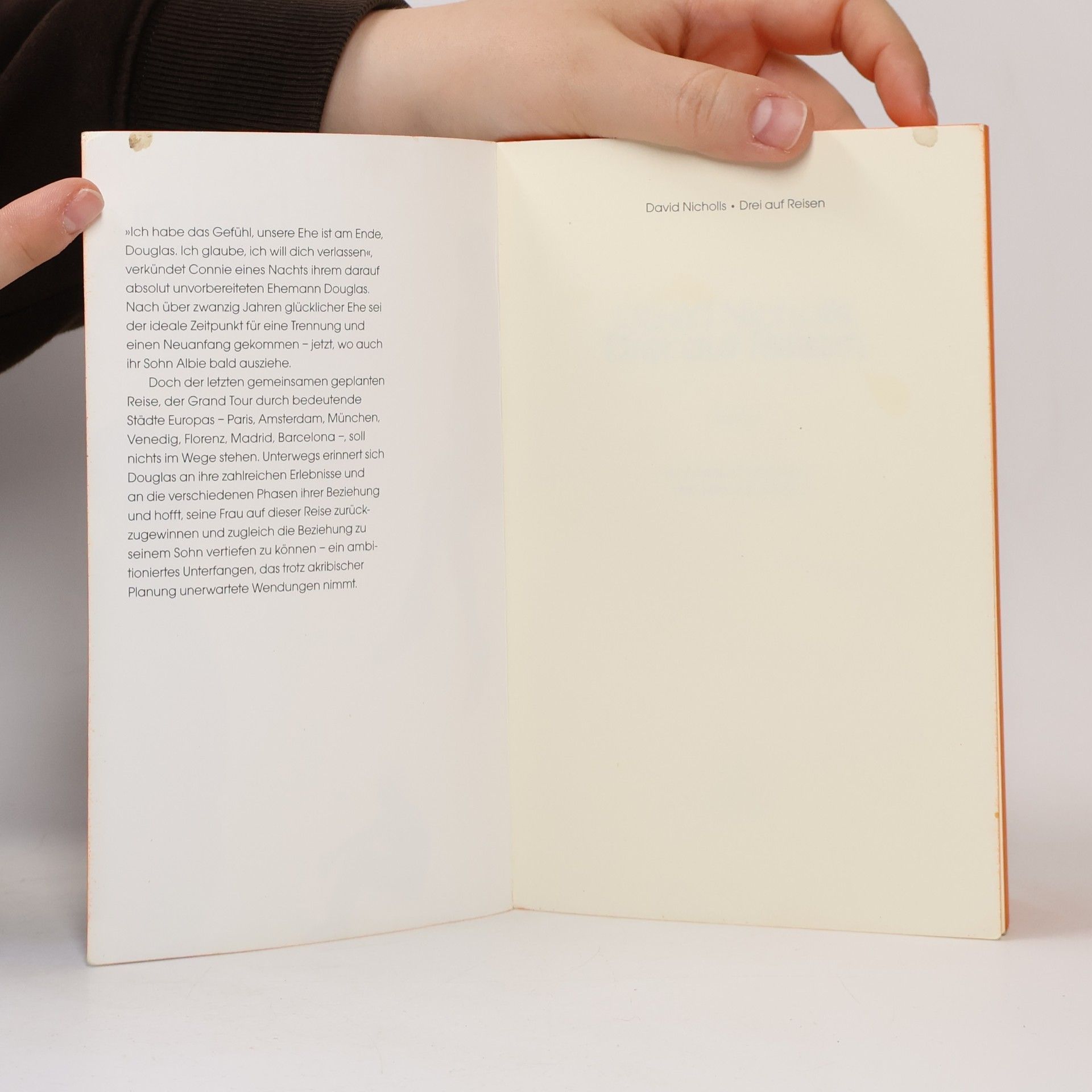 David Nicholls Drei auf Reisen