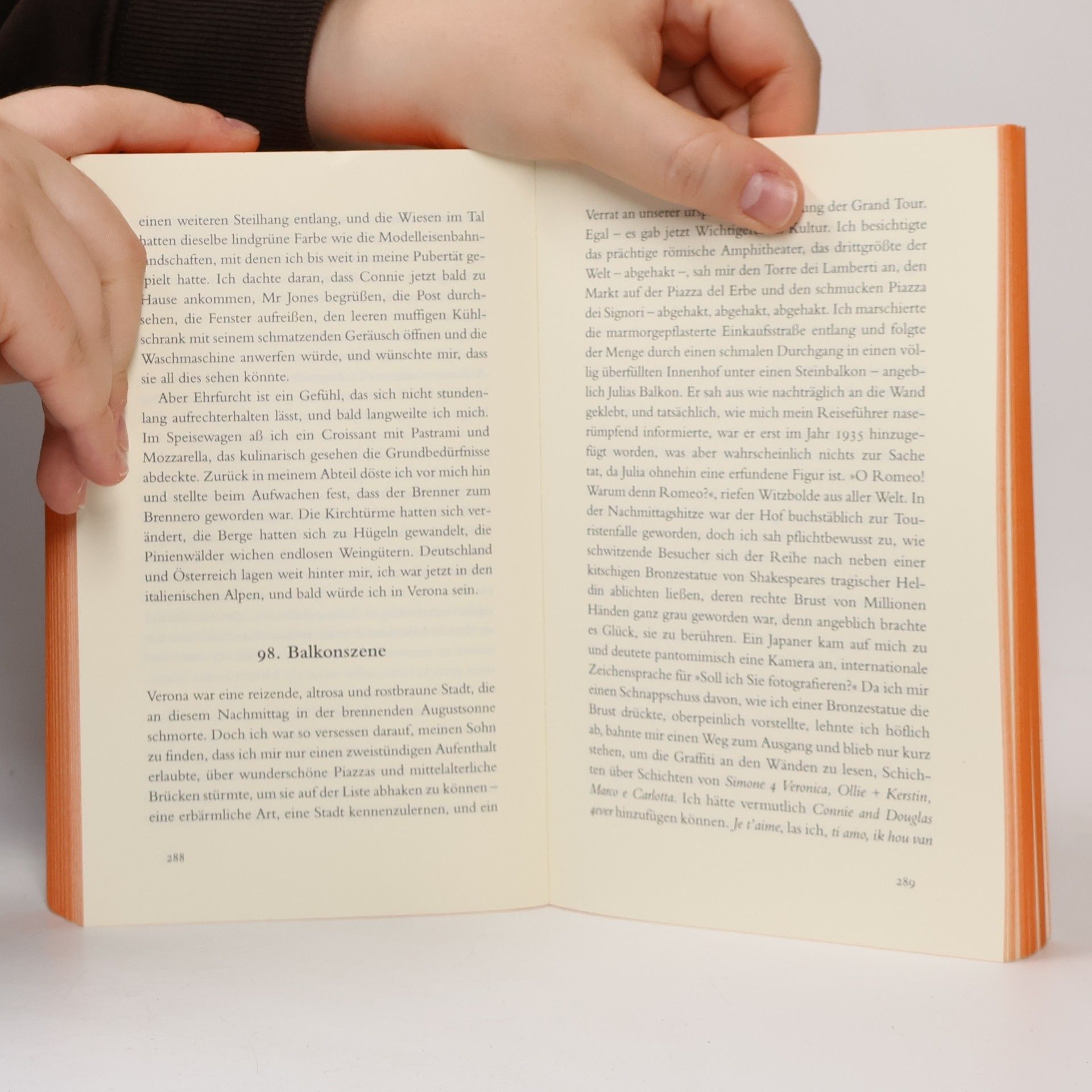 David Nicholls Drei auf Reisen