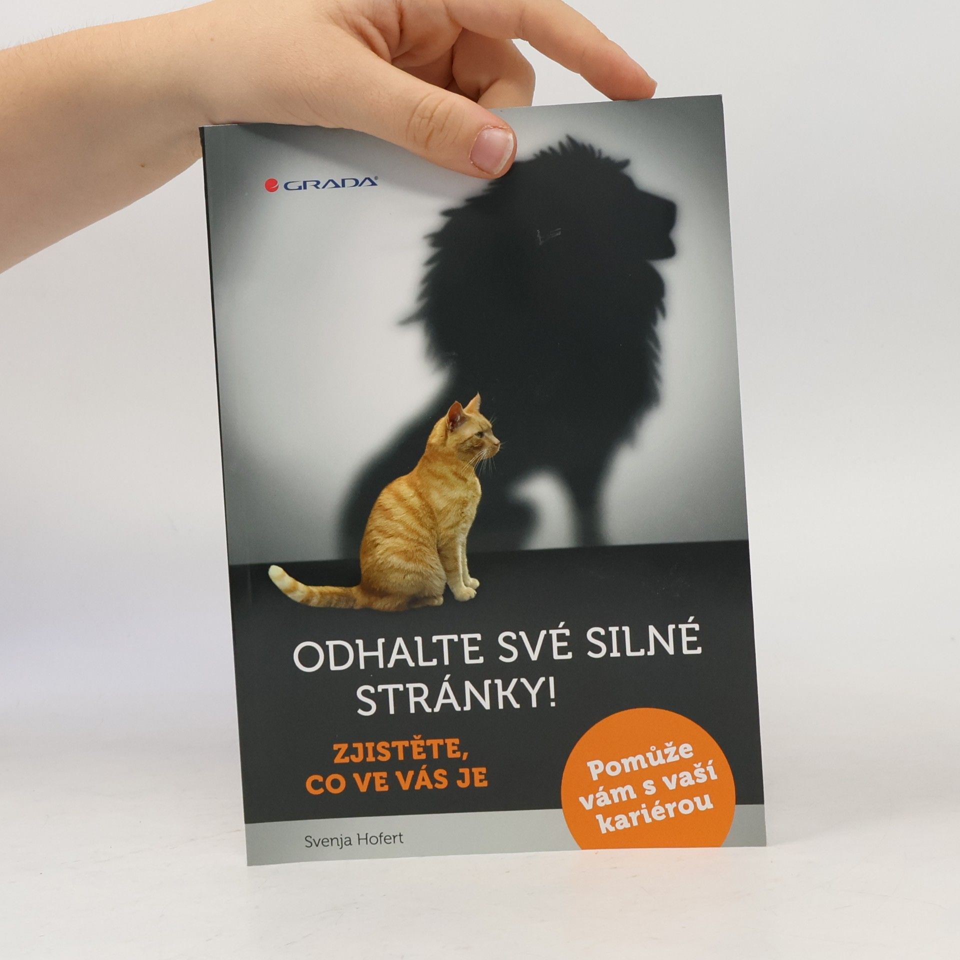 Svenja Hofert Odhalte své silné stránky! : zjistěte, co ve vás je: Pomůže vám s vaší kariérou
