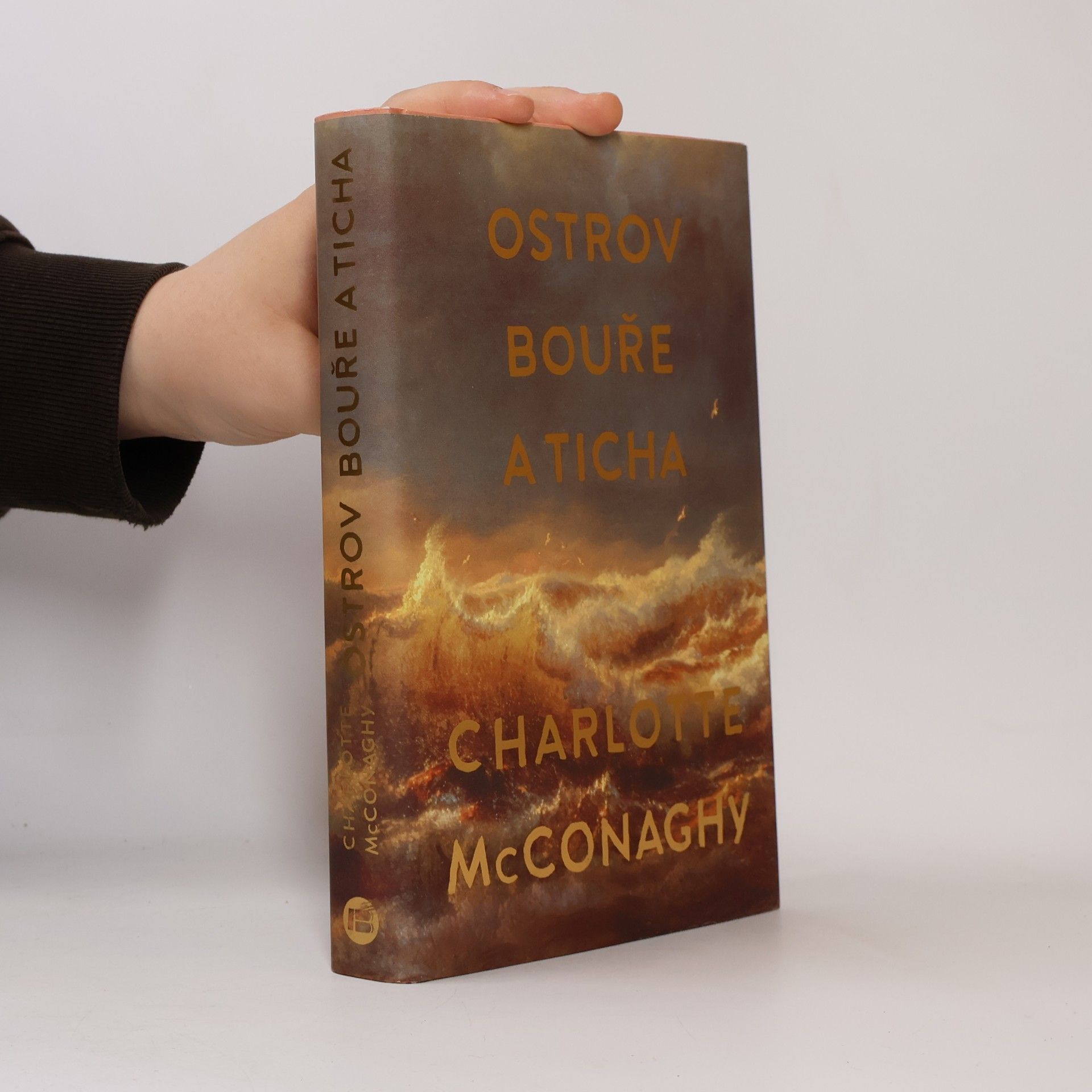 CHARLOTTE. MCCONAGHY Ostrov bouře a ticha