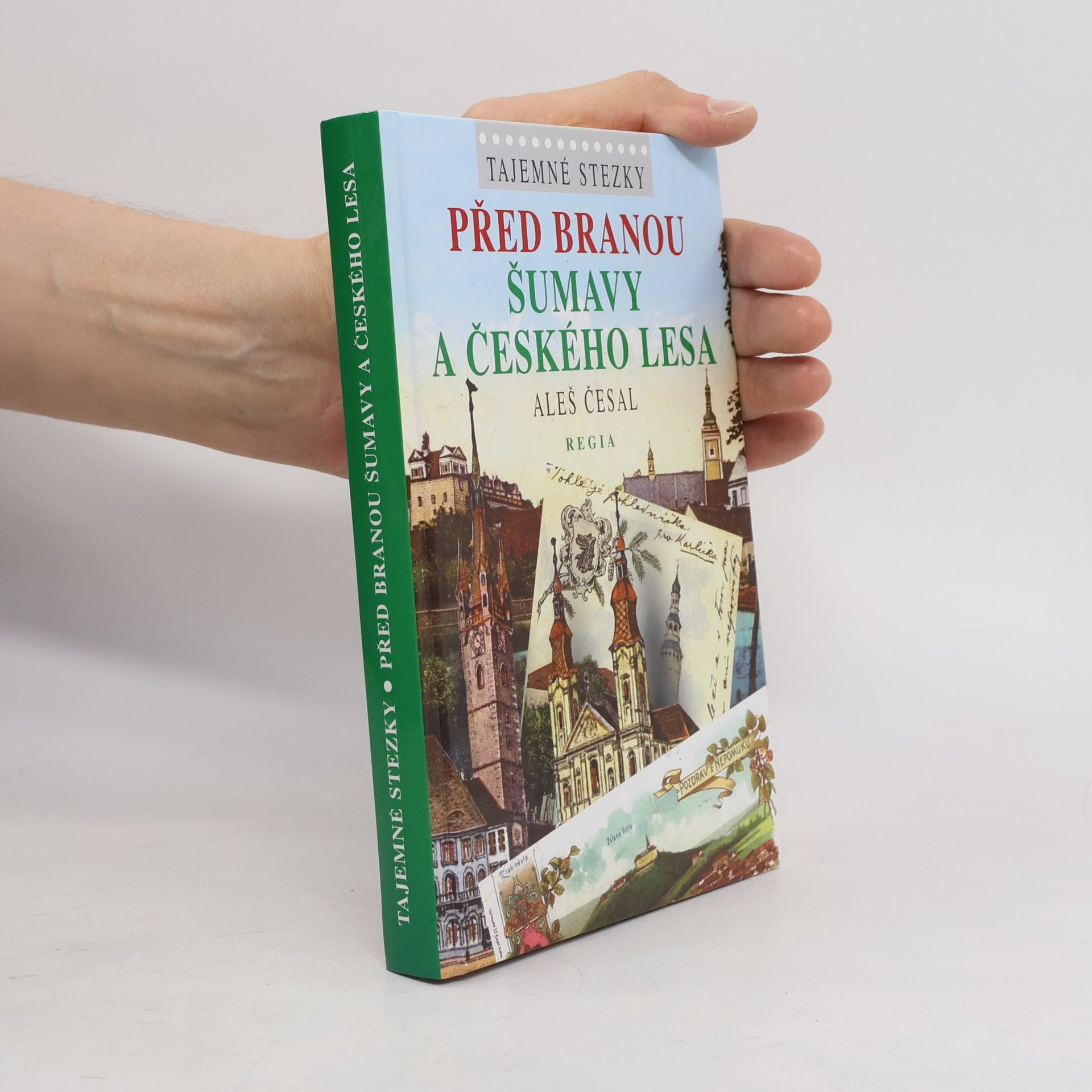 Aleš Česal Před branou Šumavy a Českého lesa