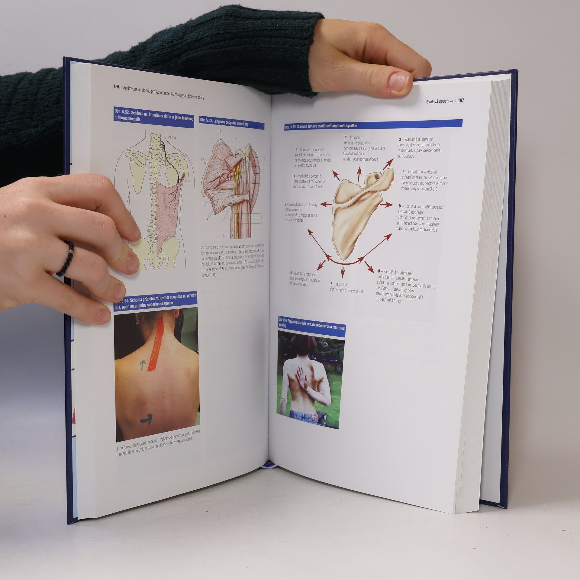 Oldřich Eliška Aplikovaná anatomie pro fyzioterapeuty, maséry a příbuzné obory