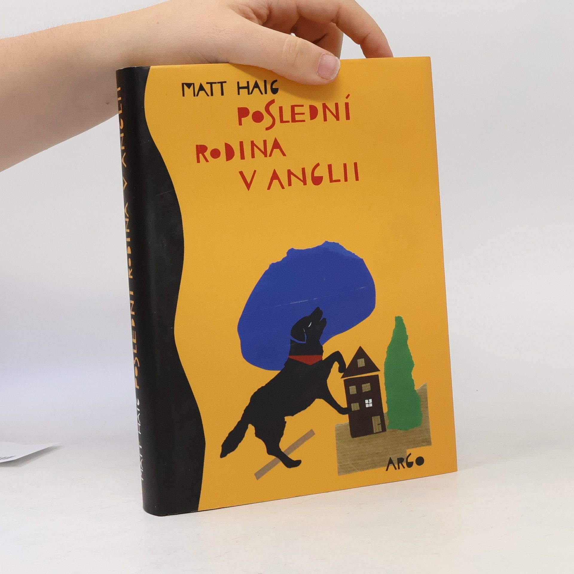 Matt Haig Poslední rodina v Anglii