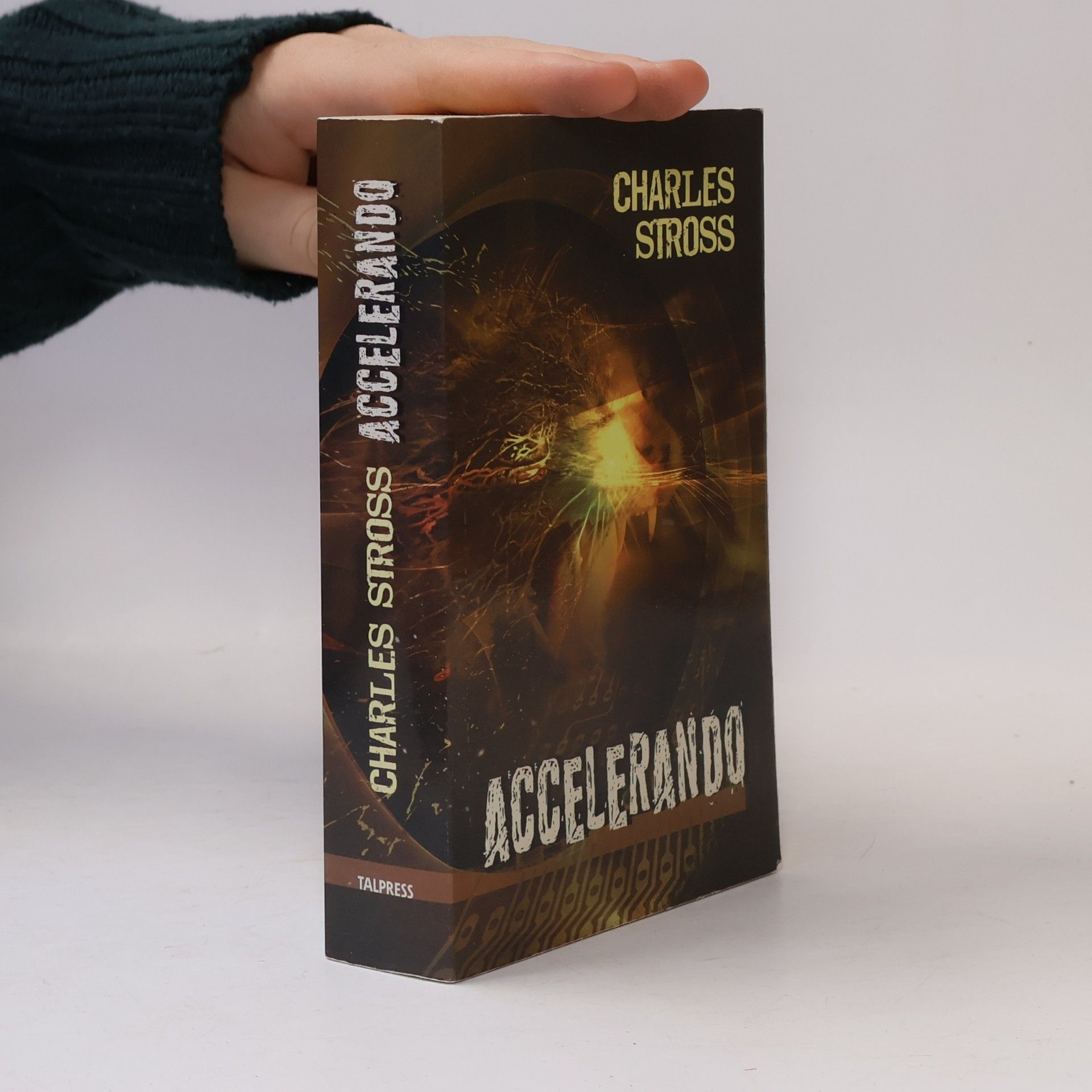 Charles Stross Accelerando