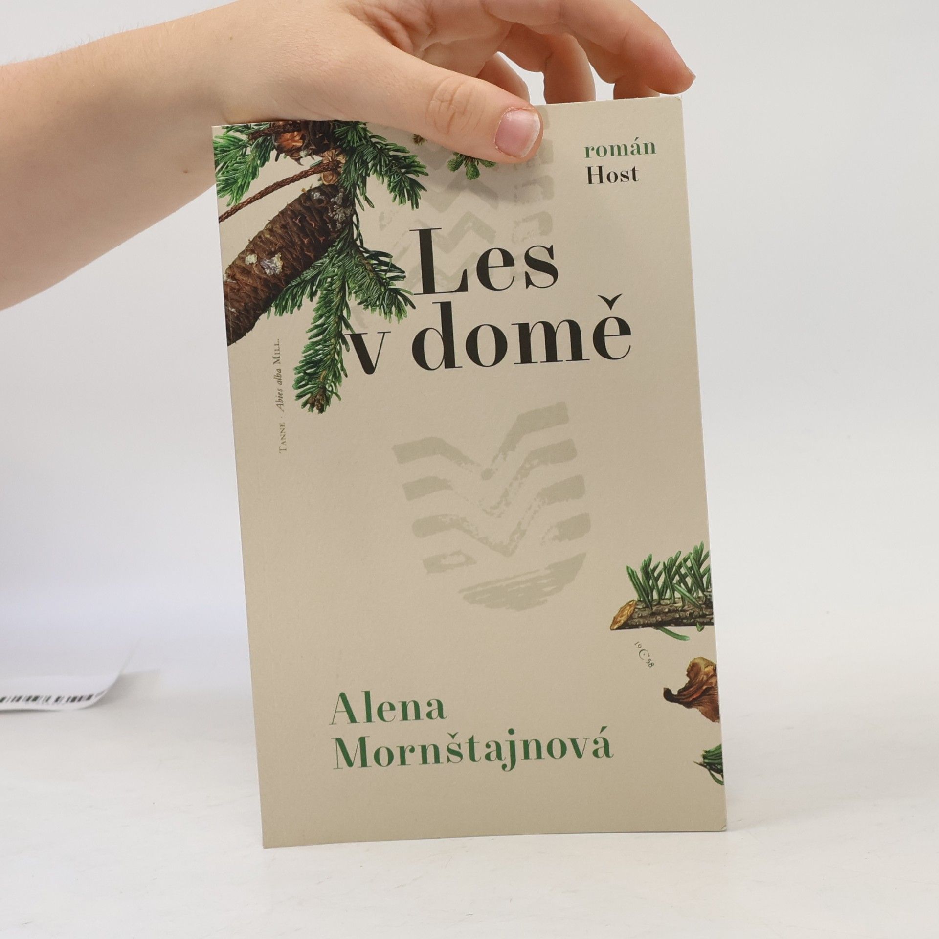Alena Mornštajnová Les v domě