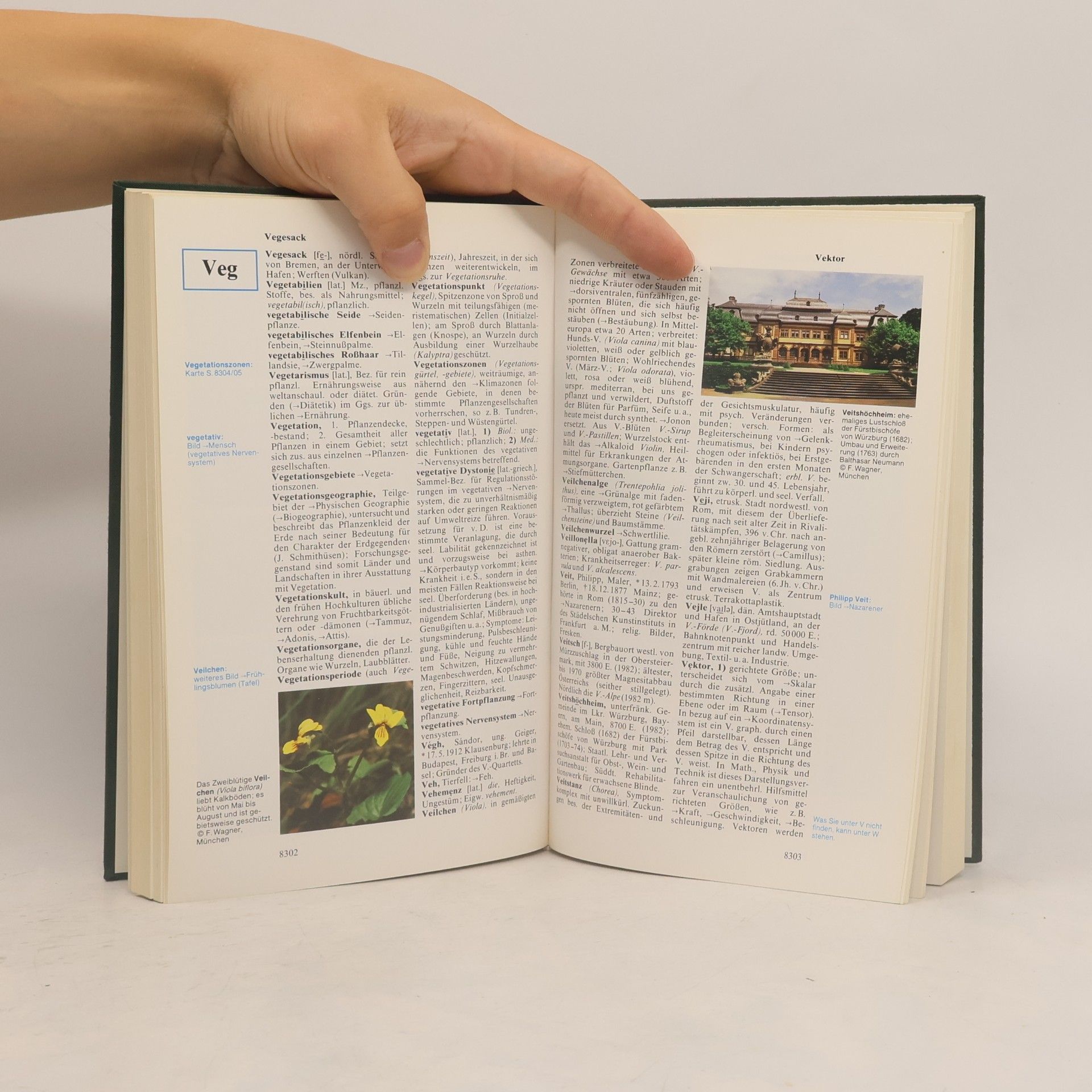 kolektiv Der Große Knaur 19