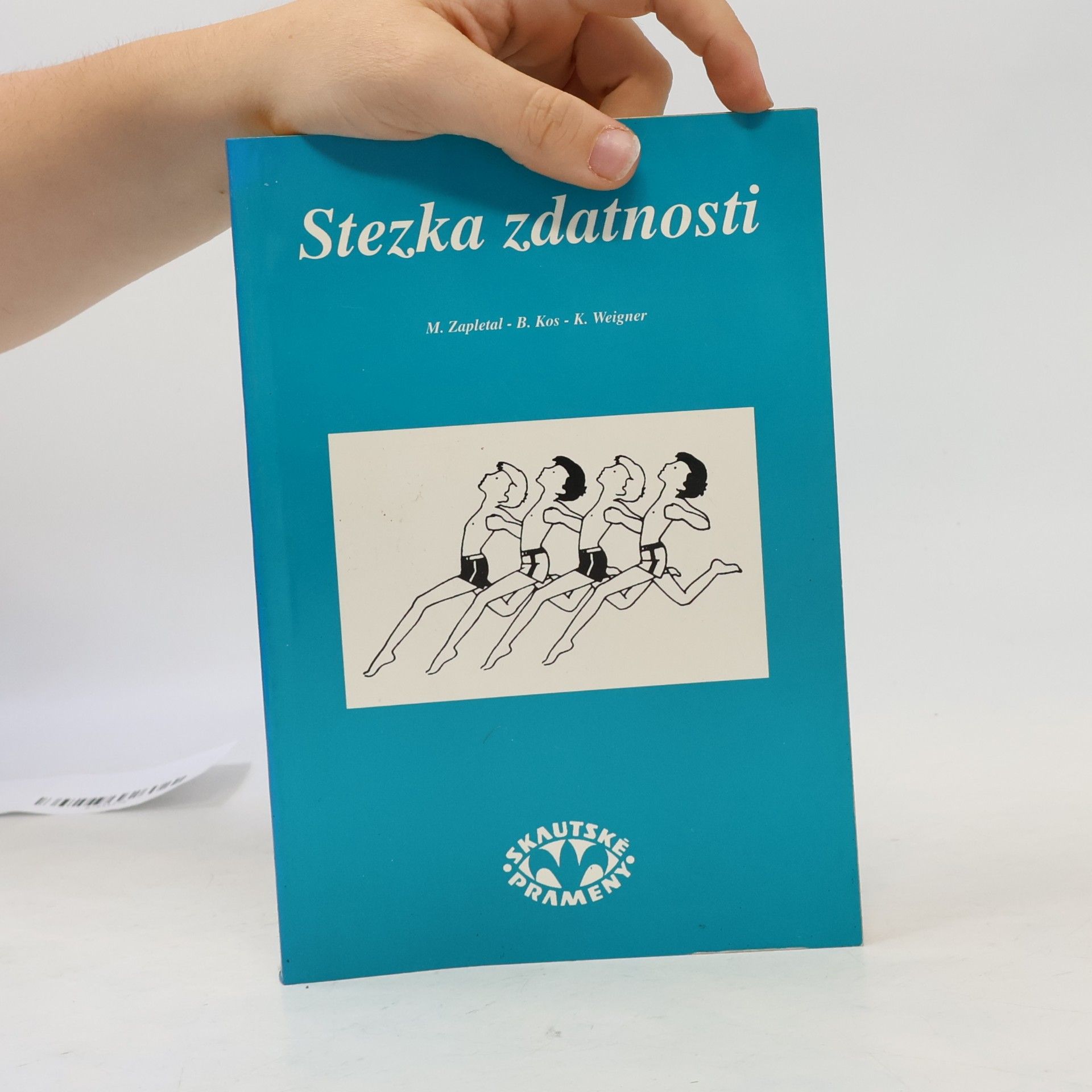Stezka zdatnosti