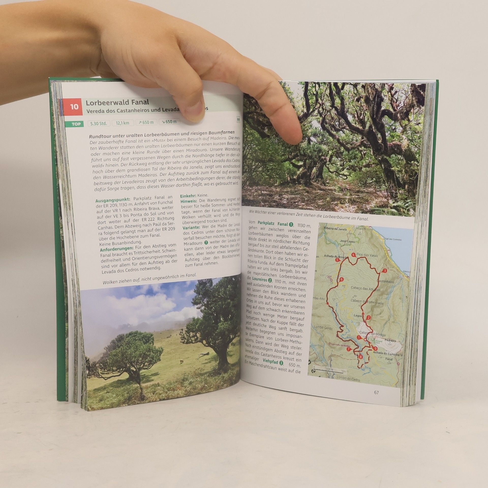Issi Fritsch Wilde Wege Madeira