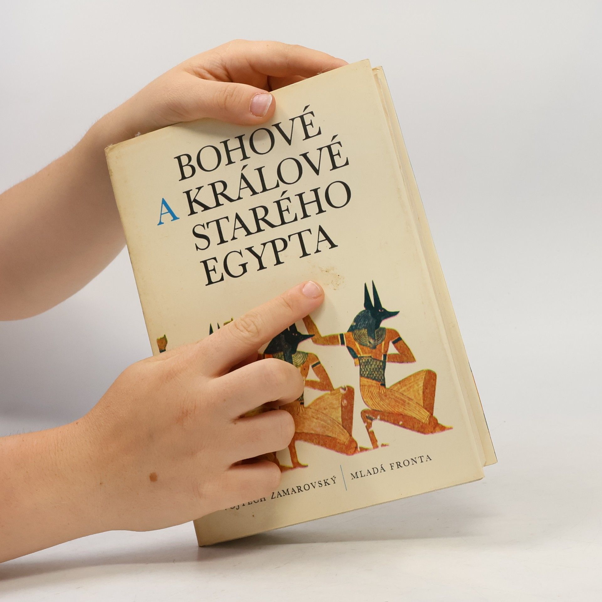 Vojtěch Zamarovský Bohové a králové starého Egypta