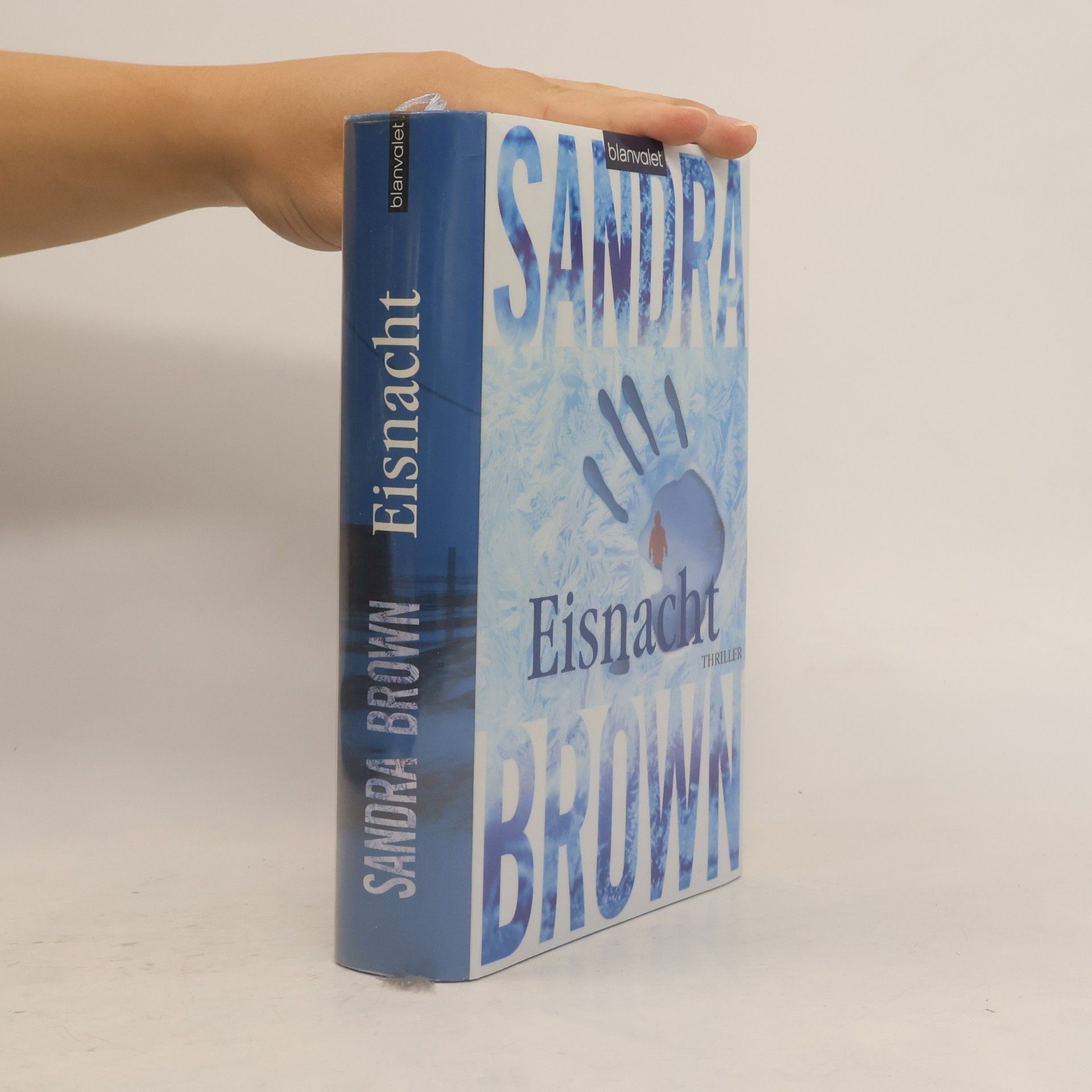 Sandra Brown Eisnacht