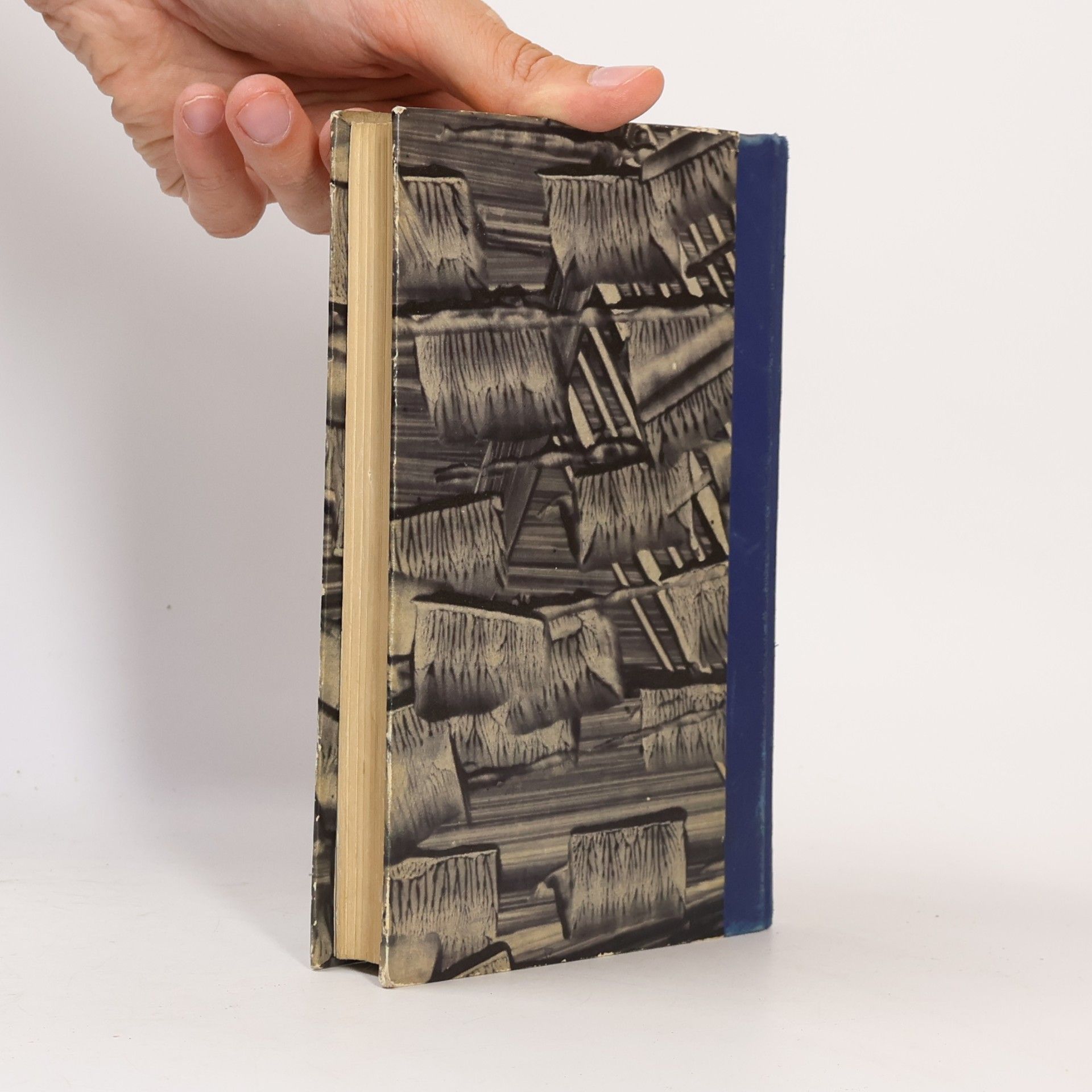 Lew Nikolajewitsch Tolstoi Kreutzer-Sonate und andere Novellen