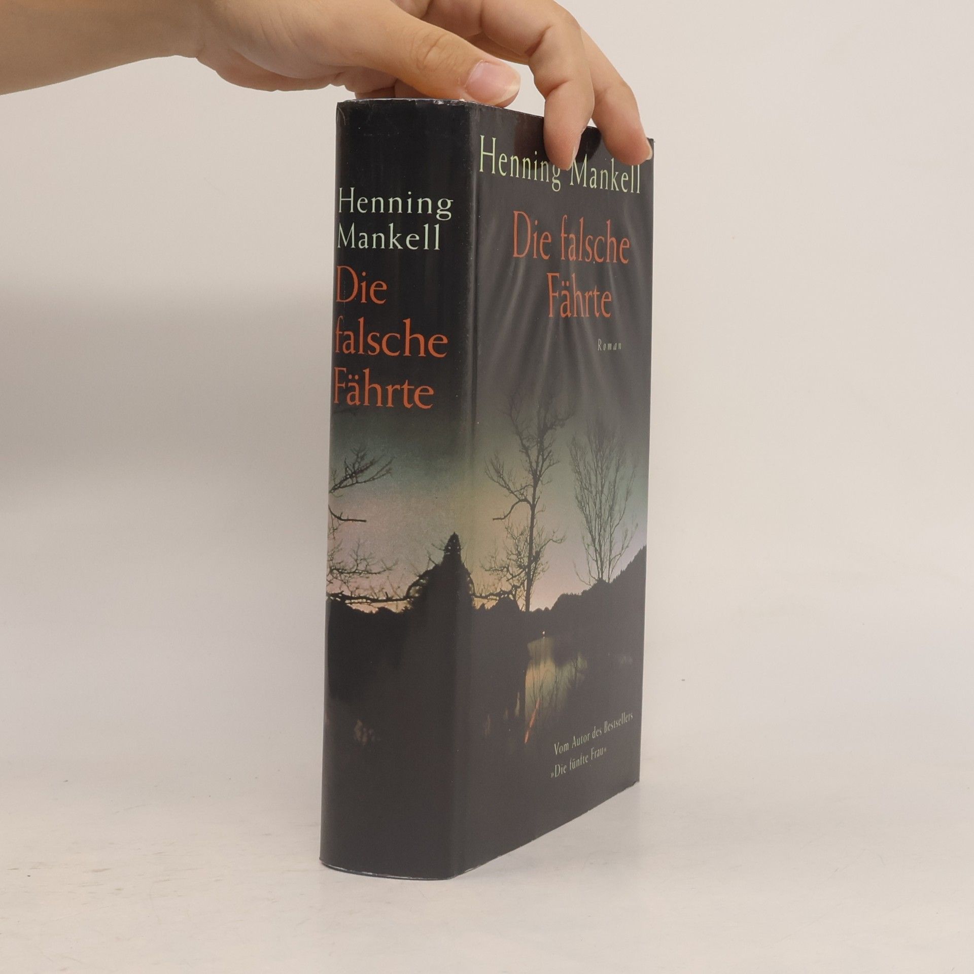 Henning Mankell Die falsche Fährte