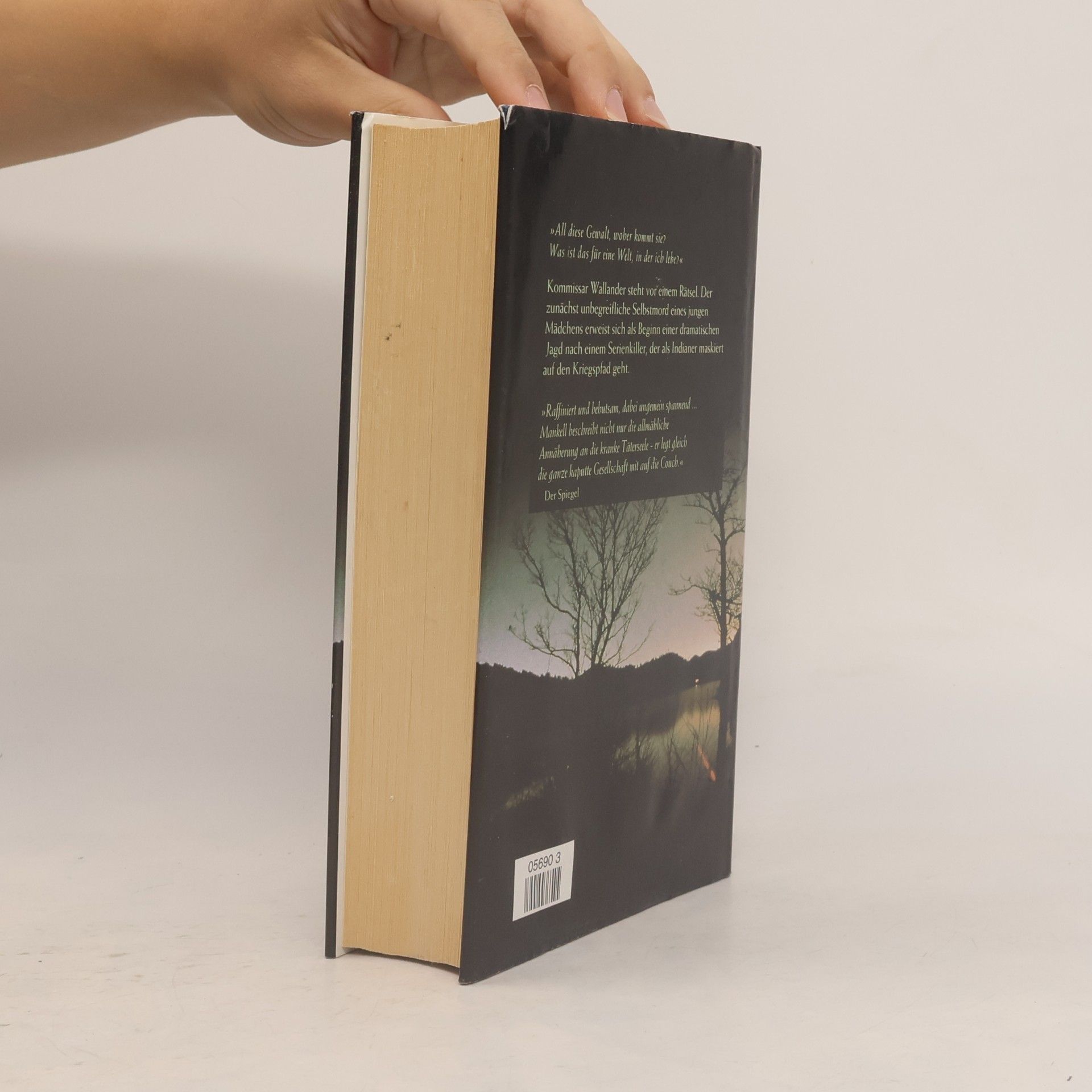 Henning Mankell Die falsche Fährte