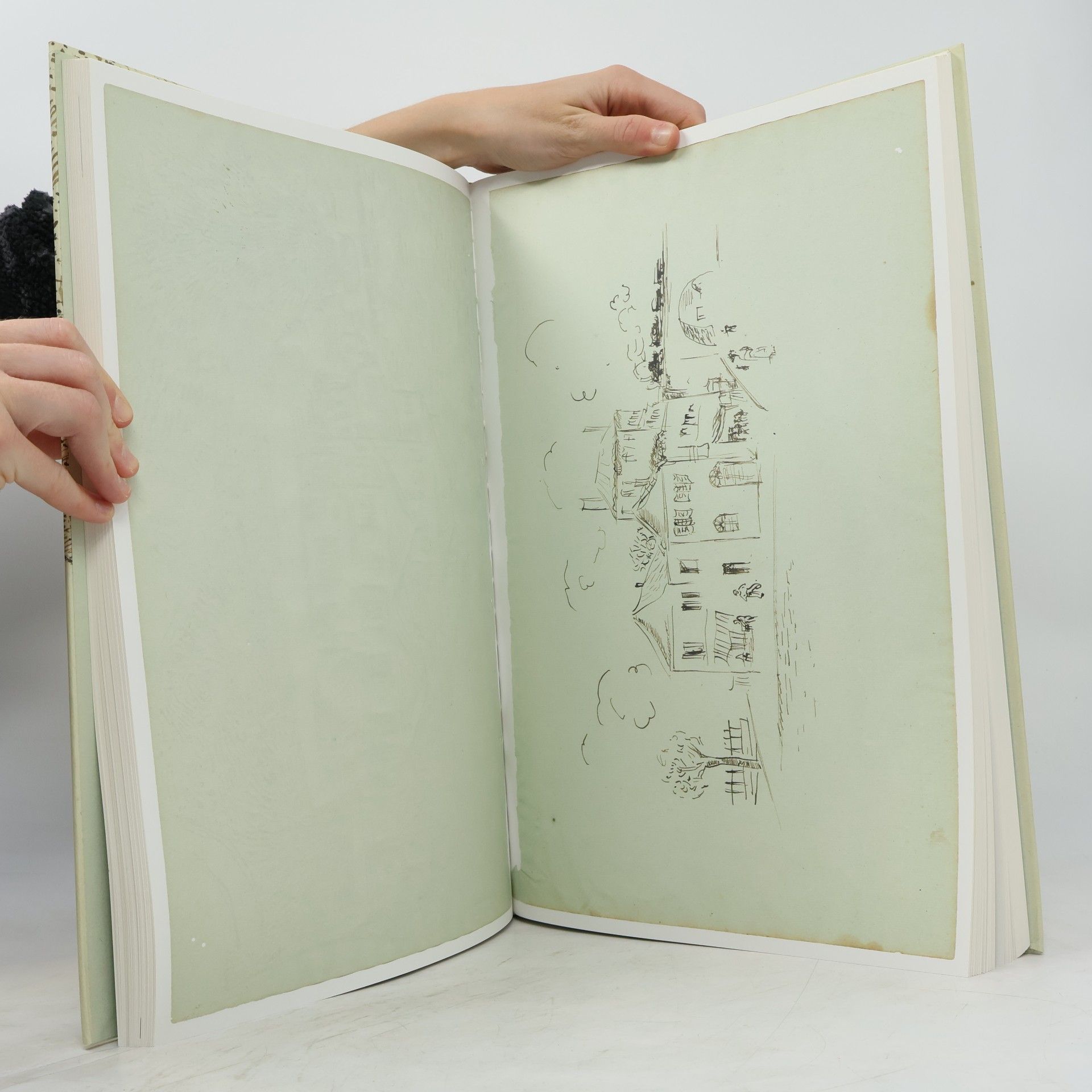 Bogomila Welsh-Ovcharov Vincent van Gogh, das Skizzenbuch aus Arles