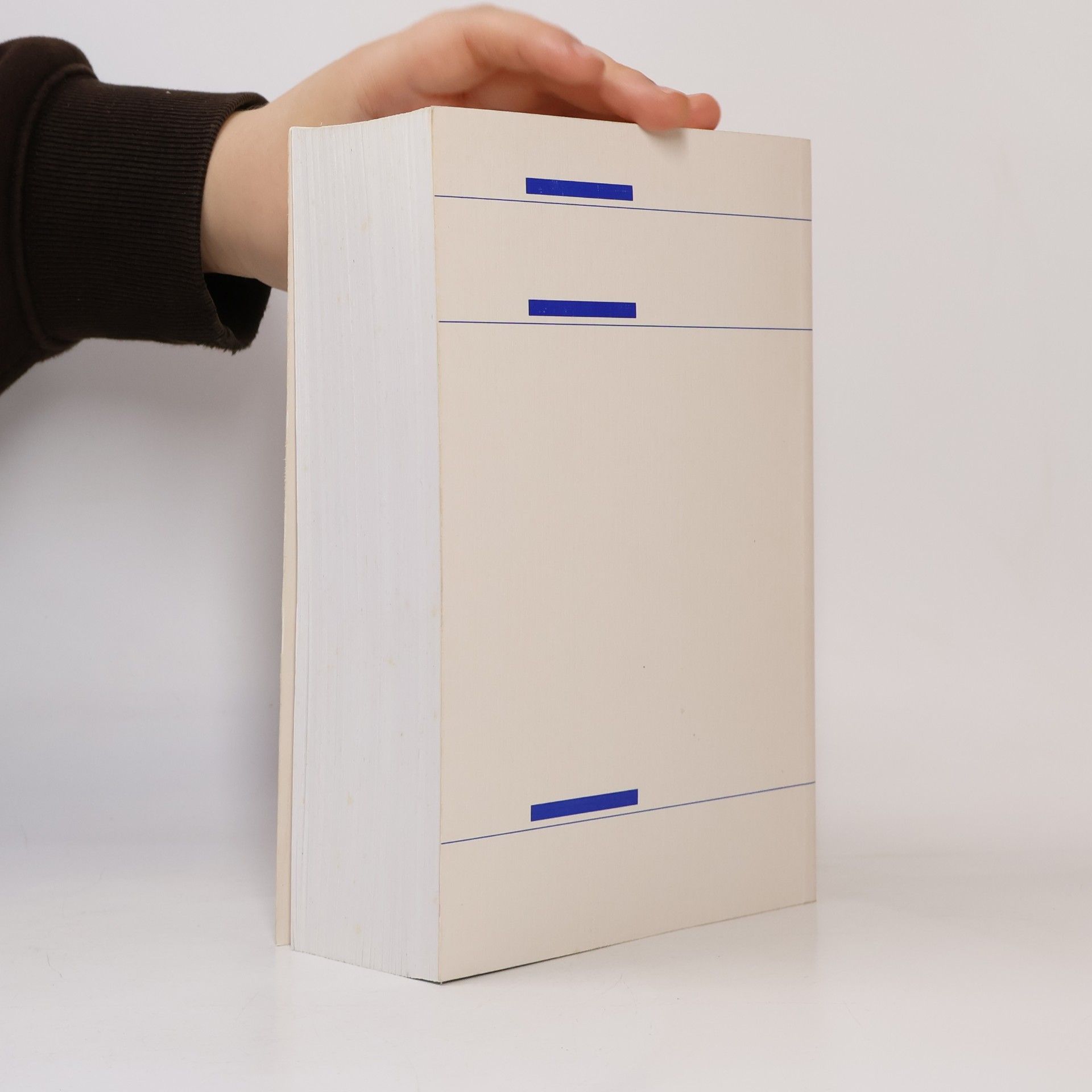 Werner Wiedenfeld Europa-Handbuch