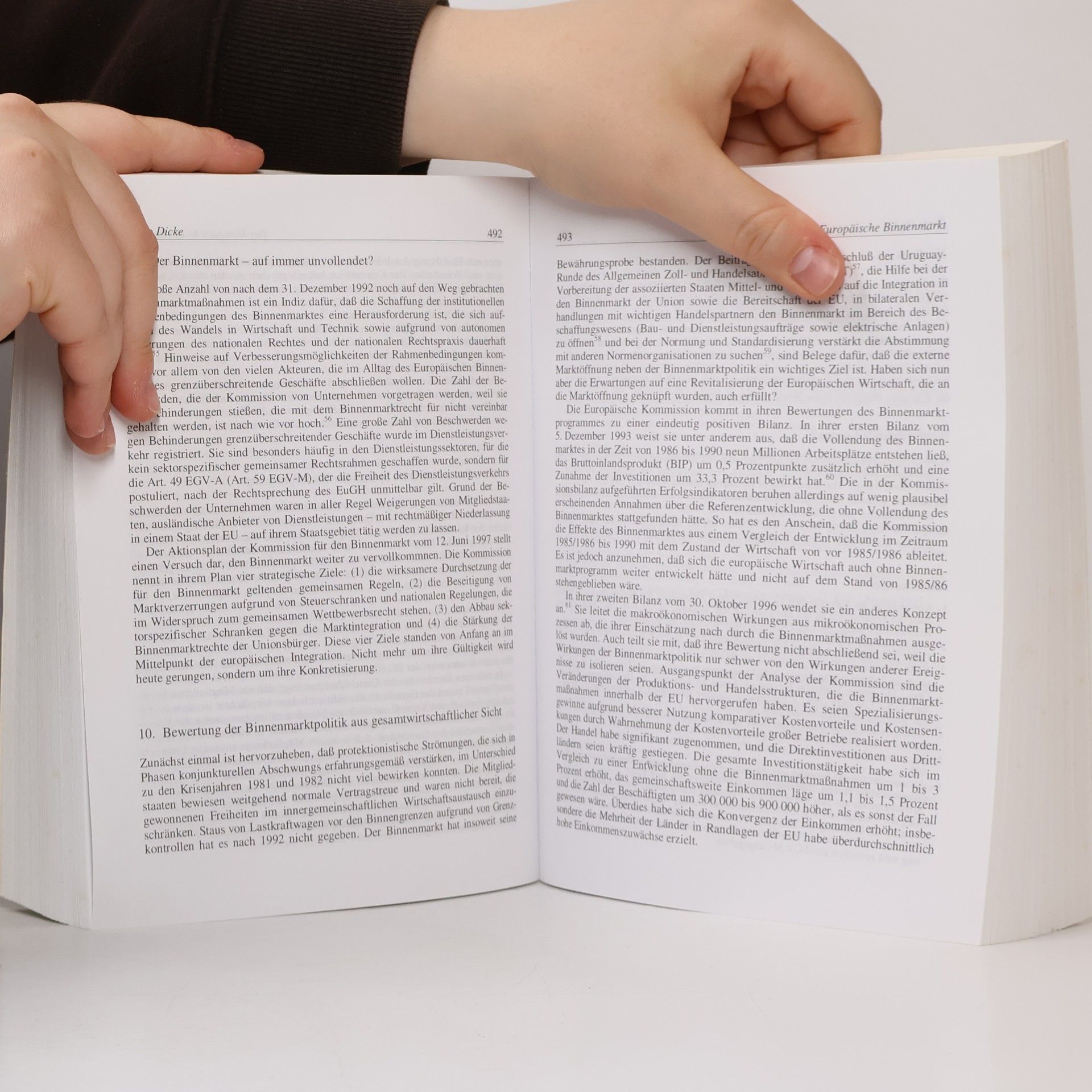 Werner Wiedenfeld Europa-Handbuch