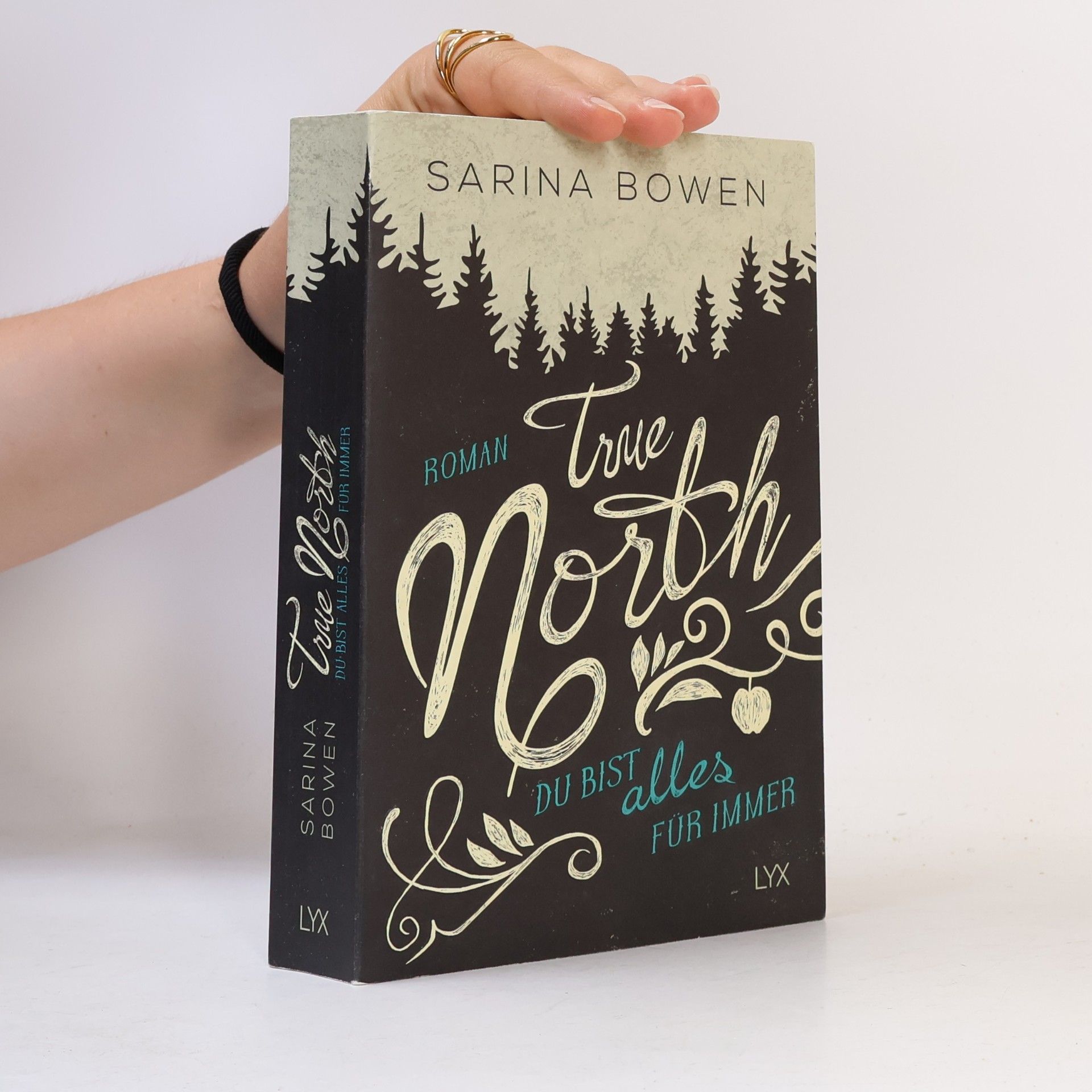 Sarina Bowen True north - du bist alles für immer