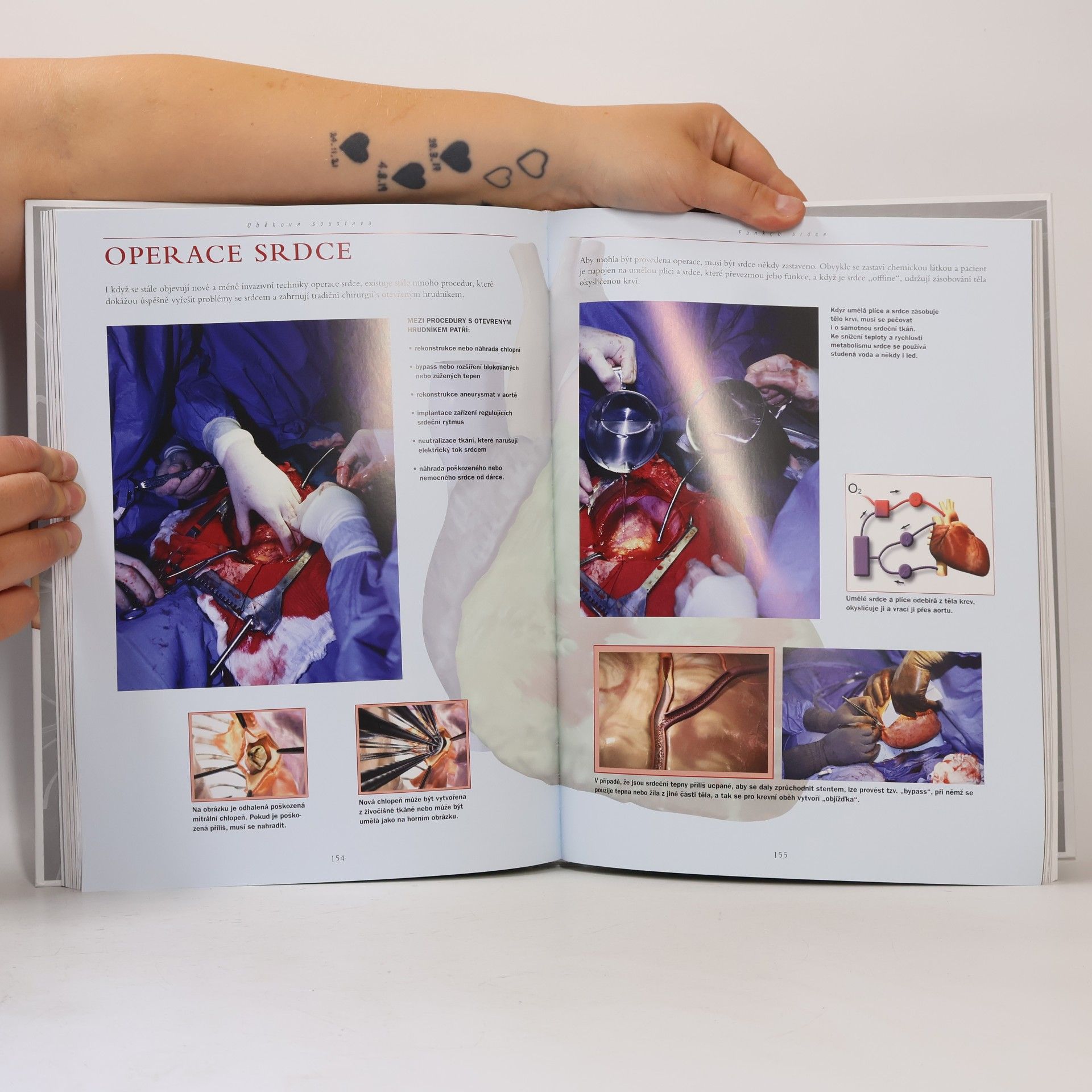 Thomas O. McCracken Anatomie fantastická 3D výprava lidským tělem