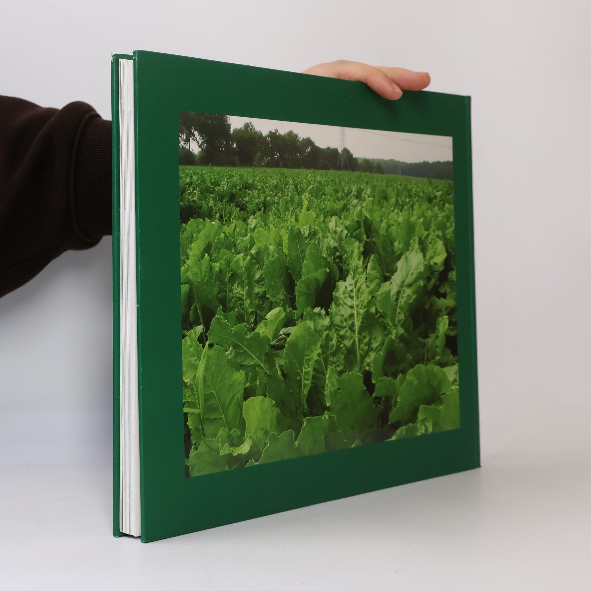 Diederik van der Hoeven The Biobased Book: Energy Transition