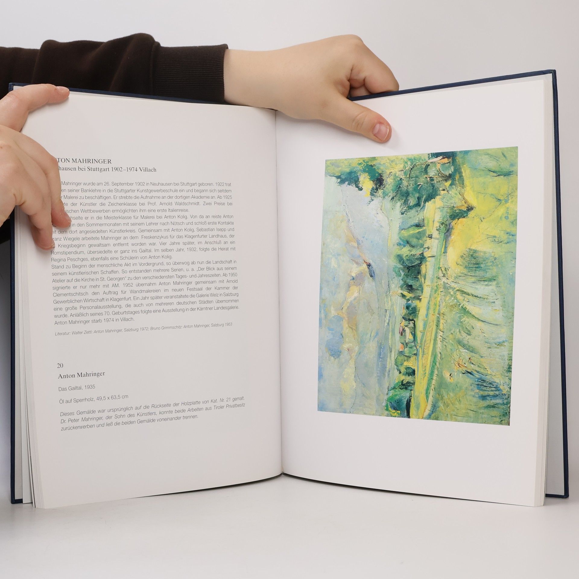Kolektiv autorů Gemälde in der Glasgalerie