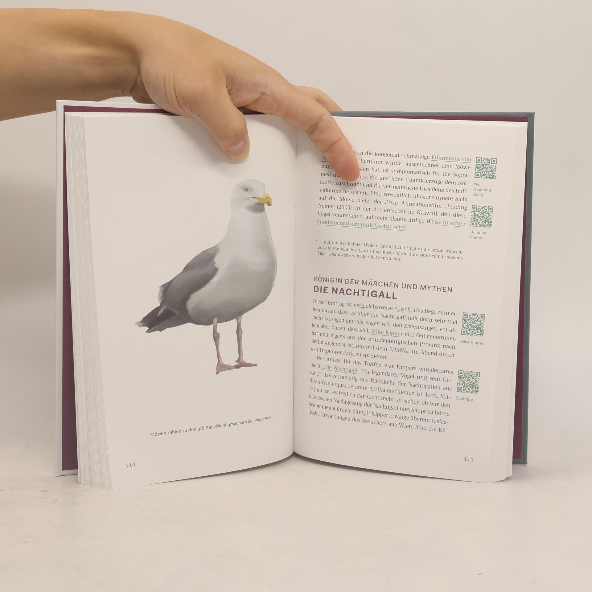 Klaus Nüchtern Famose Vögel
