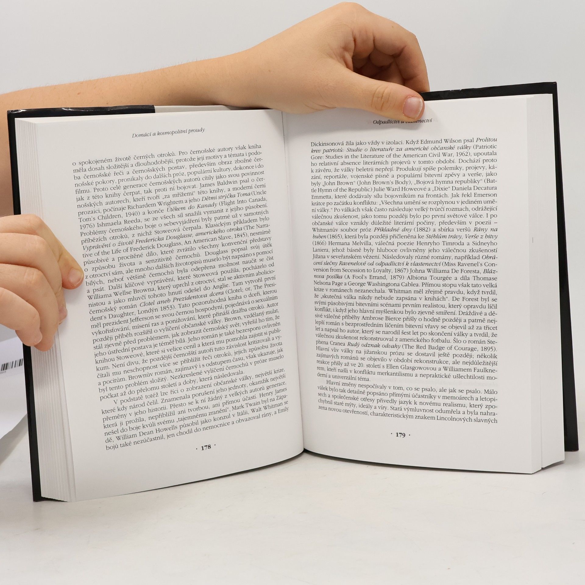 Richard Ruland Od puritanismu k postmodernismu : dějiny americké literatury