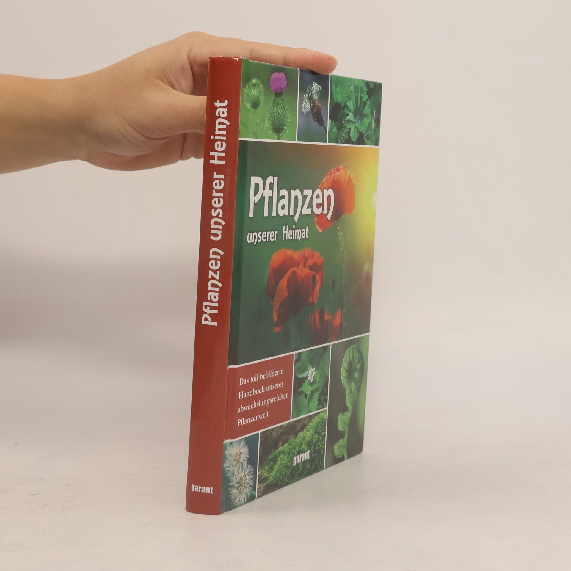 Autorenkollektiv Pflanzen unserer Heimat