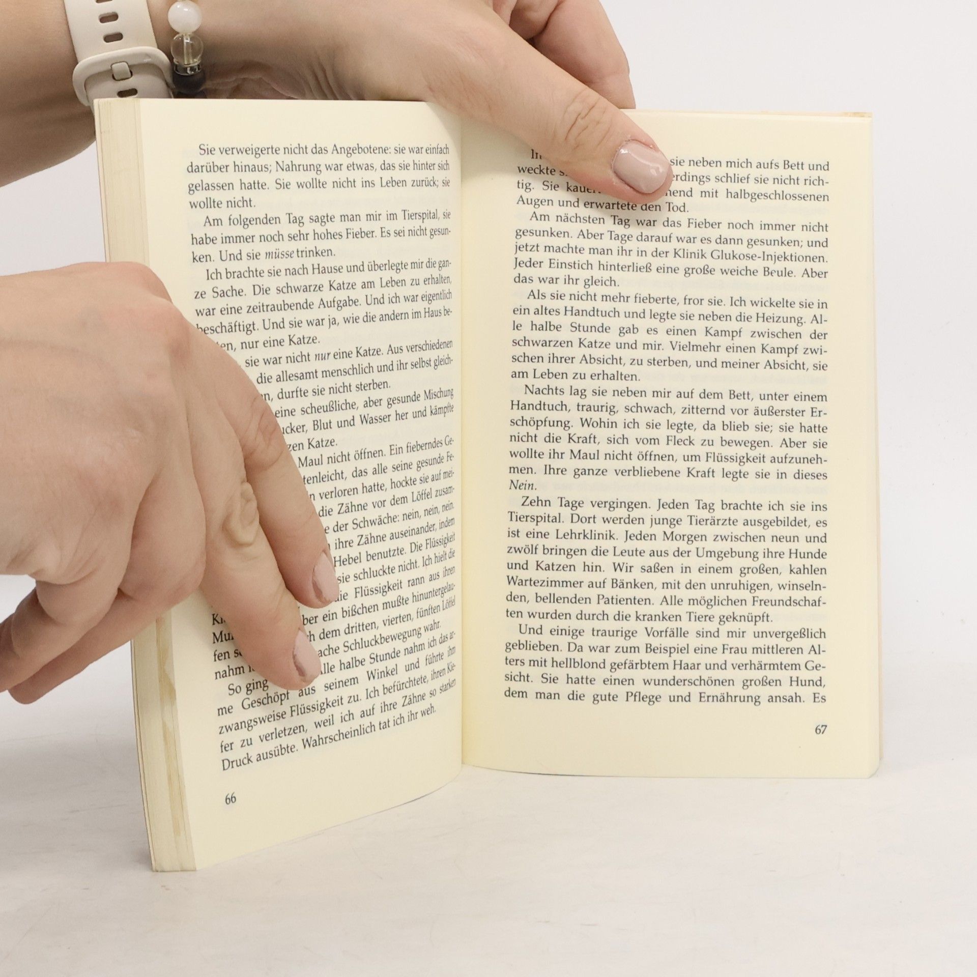 Doris Lessing Katzenbuch