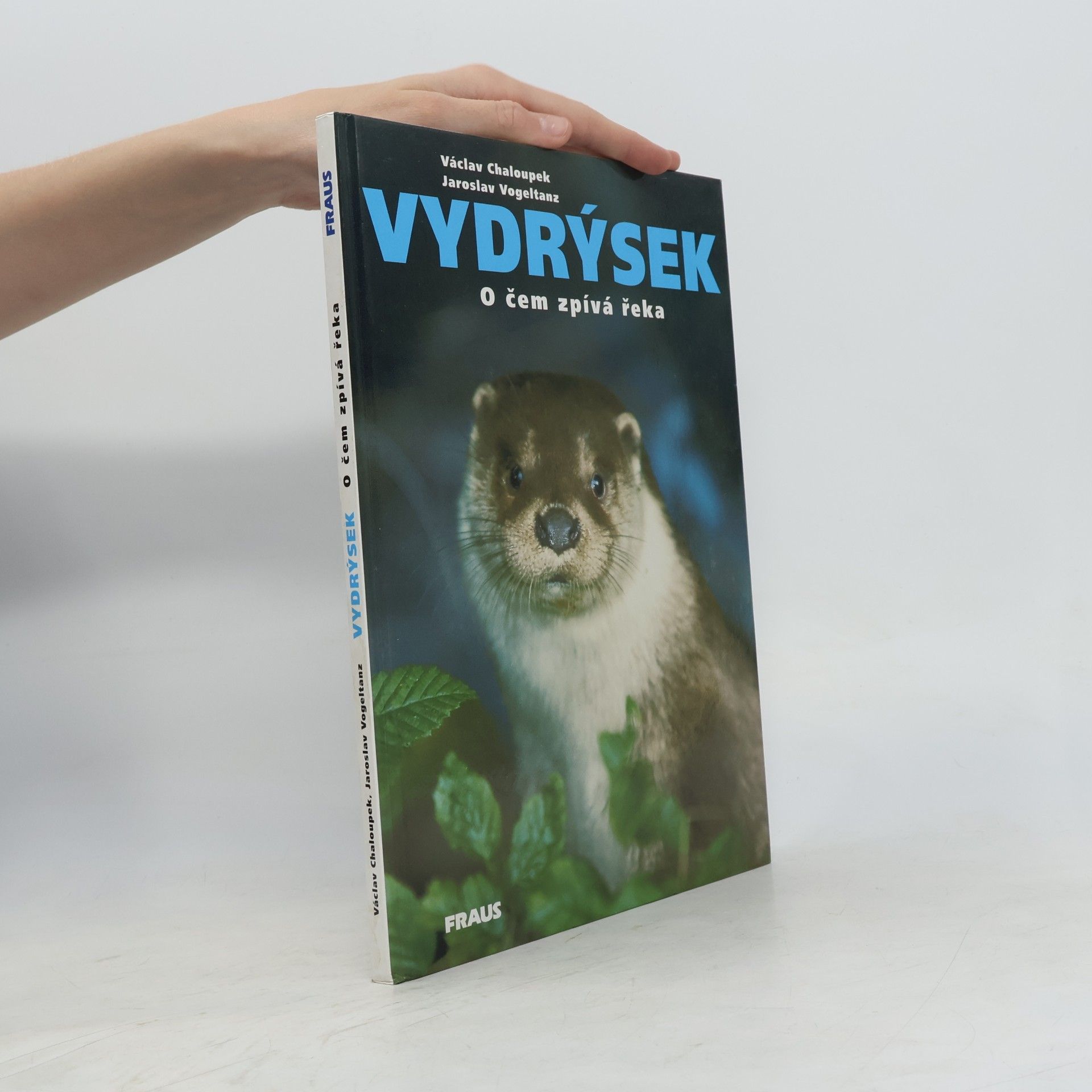 Vydrýsek. O čem zpívá řeka