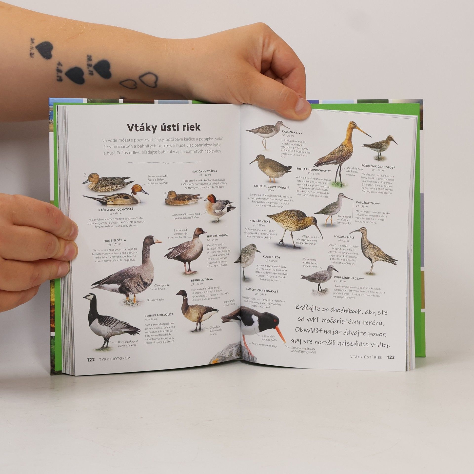 Chris Packham Pozorovanie vtákov