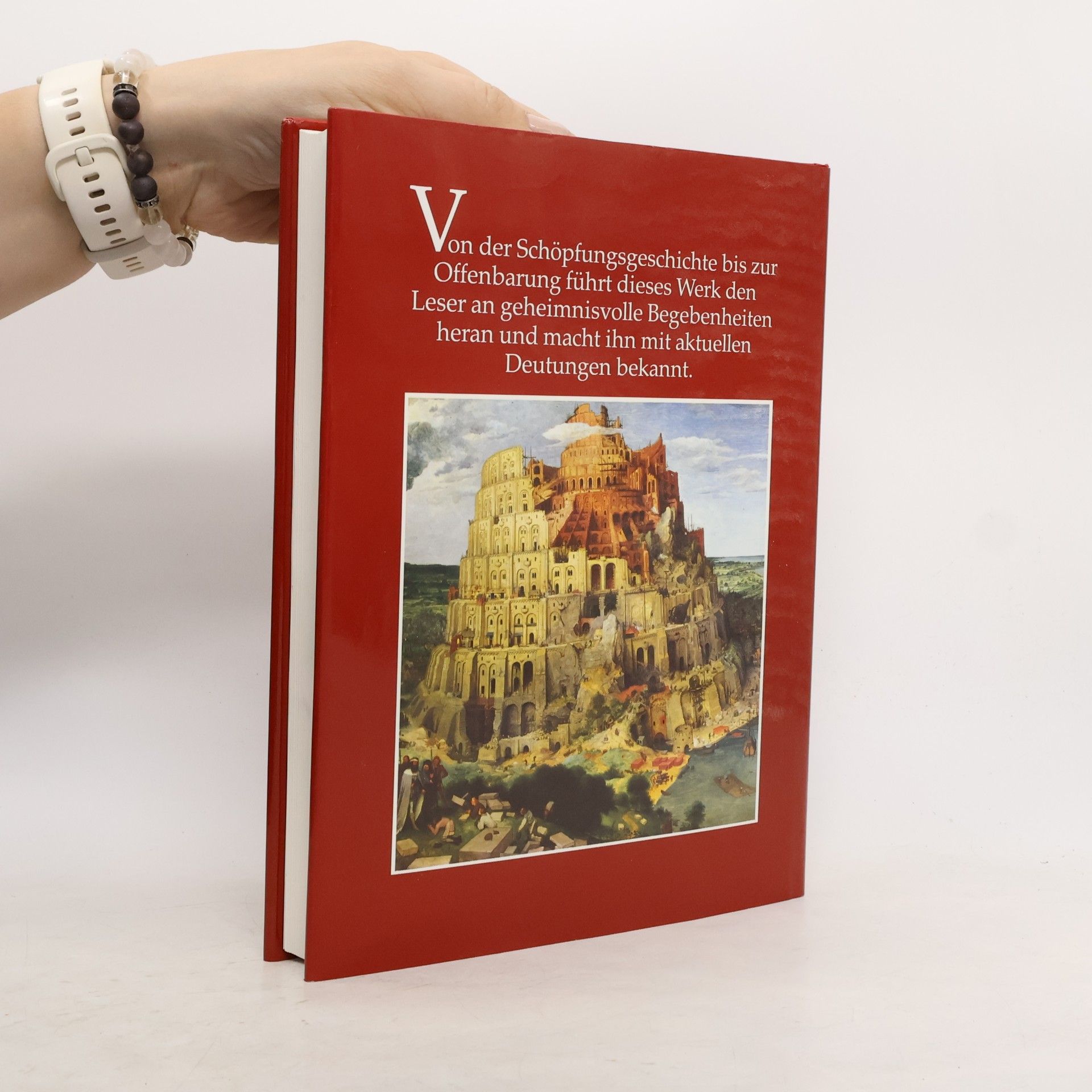 Autores varios Wunder und Rätsel der Heiligen Schrift